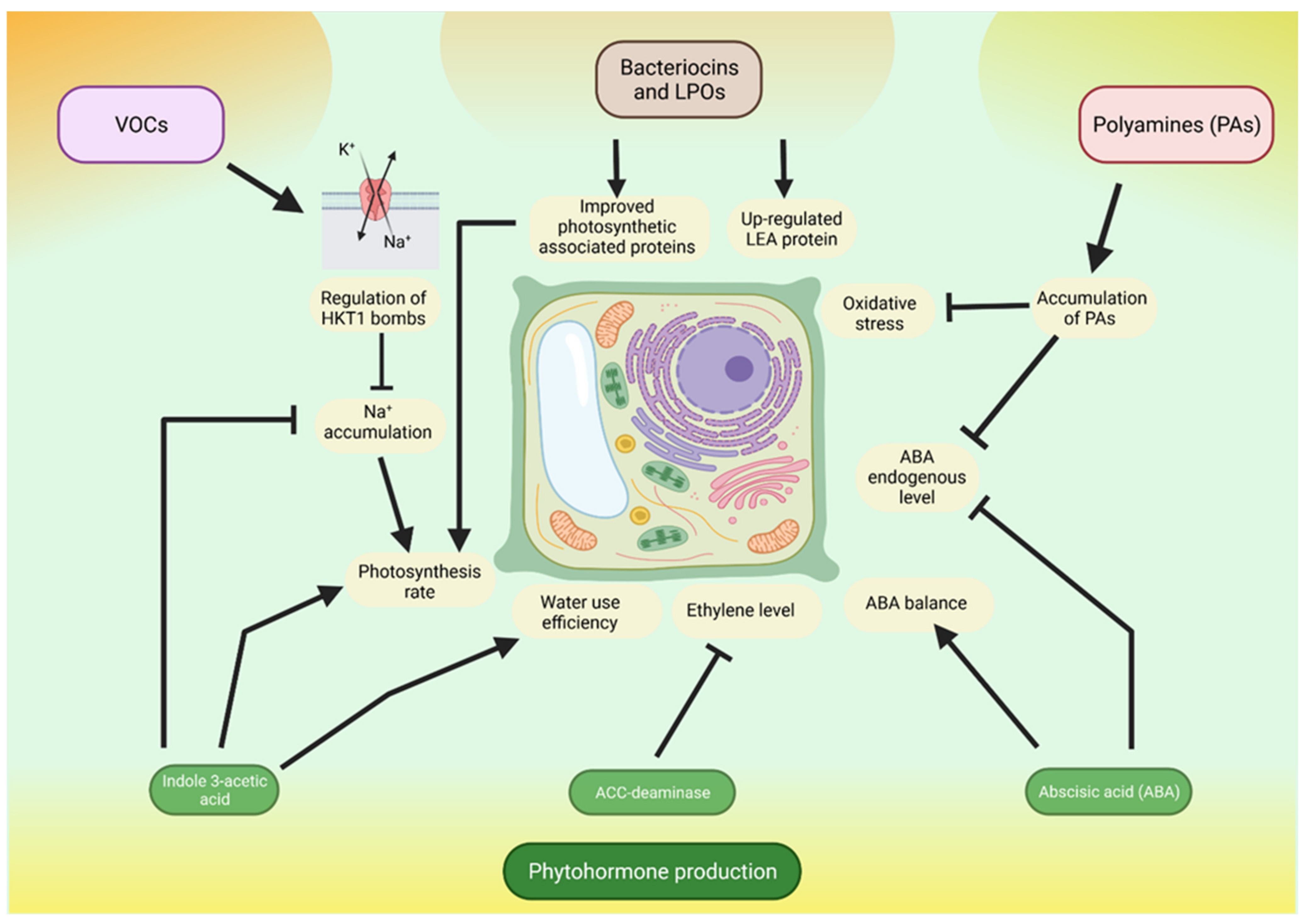Agronomy 11 01759 g002 550