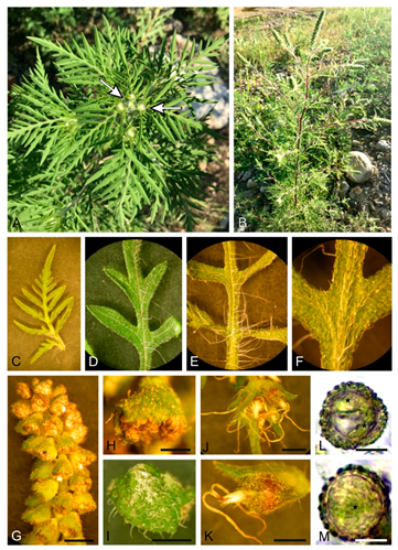 Agronomy 11 01764 g008 550