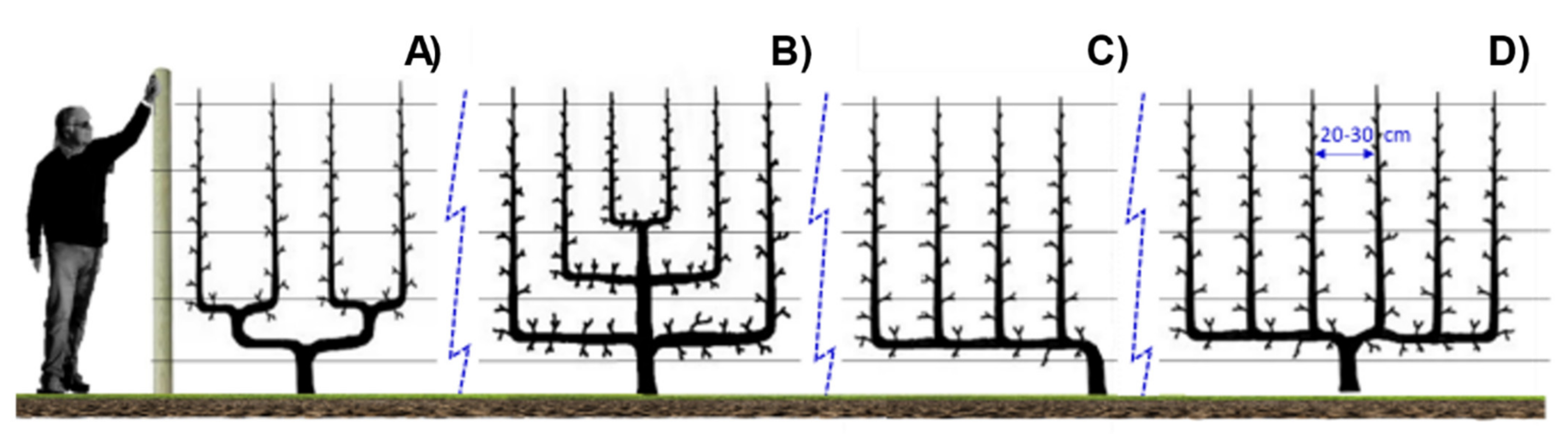 Agronomy 11 01765 g005