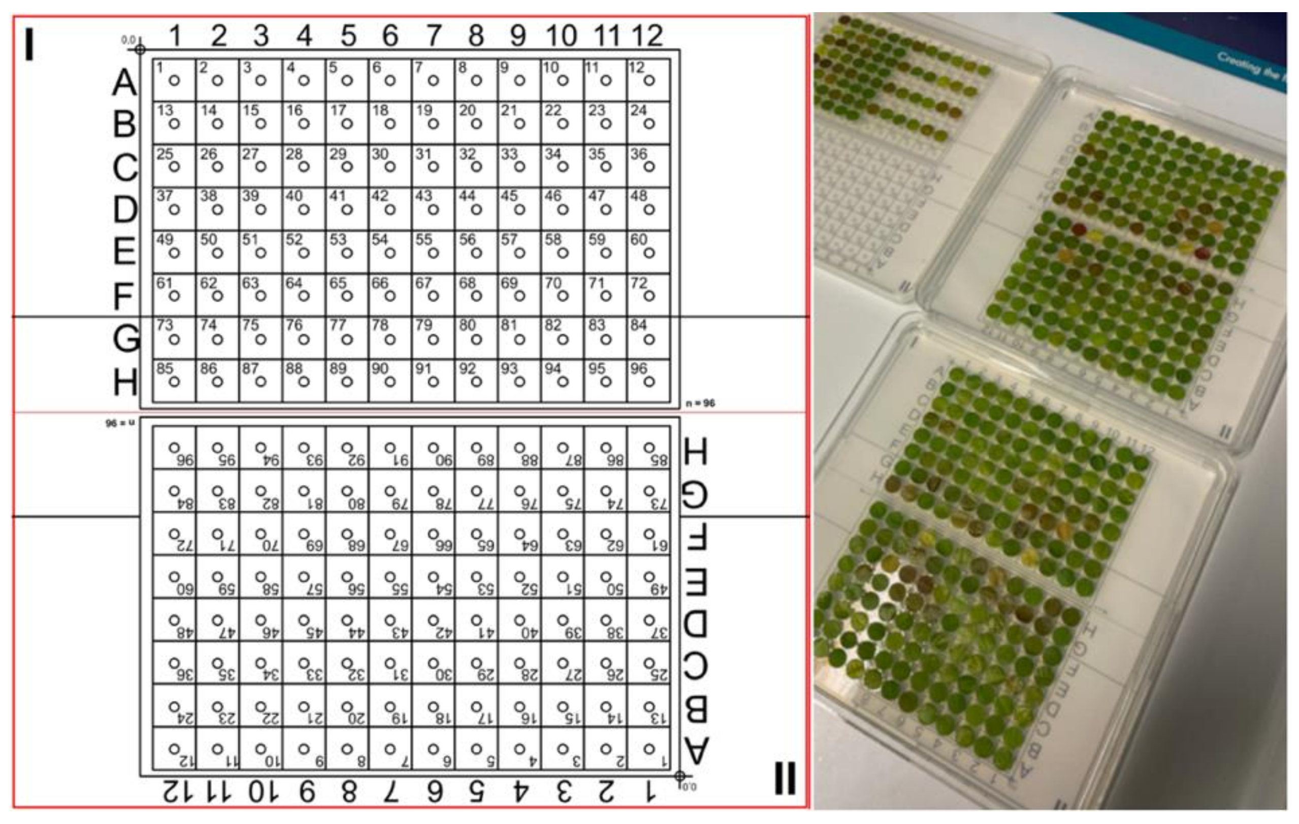 Agronomy 11 01768 g001 550