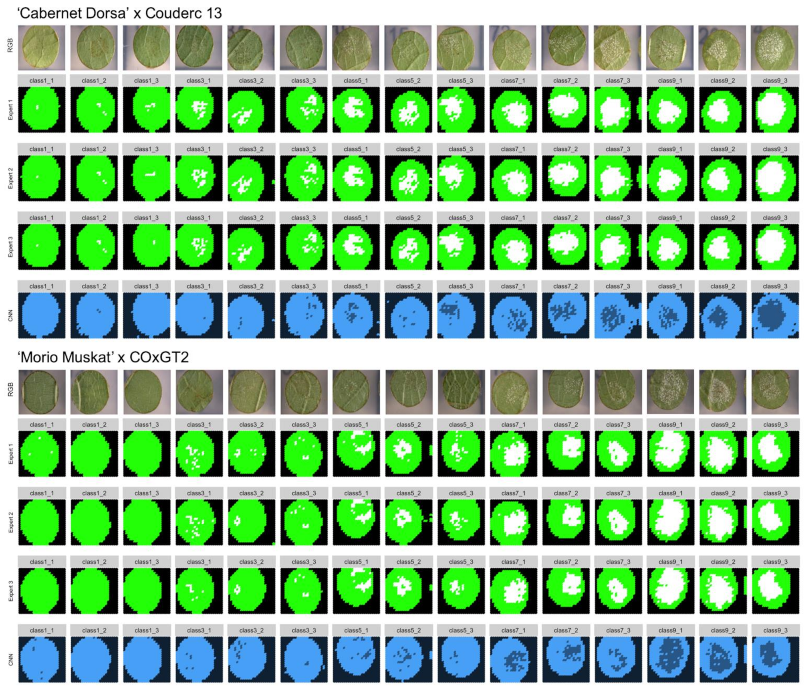 Agronomy 11 01768 g006 550