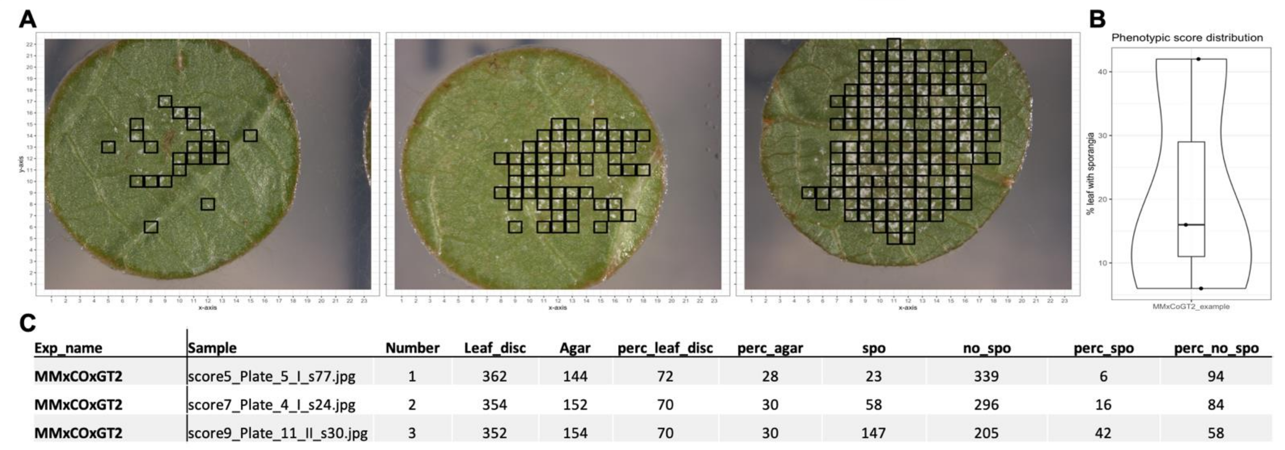 Agronomy 11 01768 g008 550