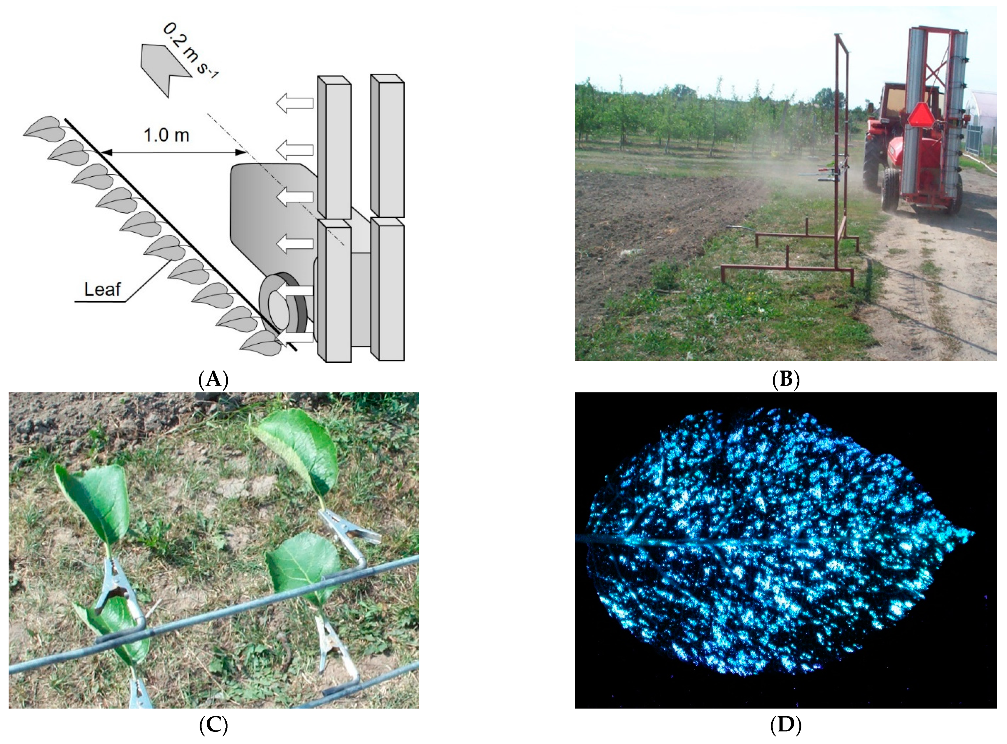 Agronomy 11 01790 g001