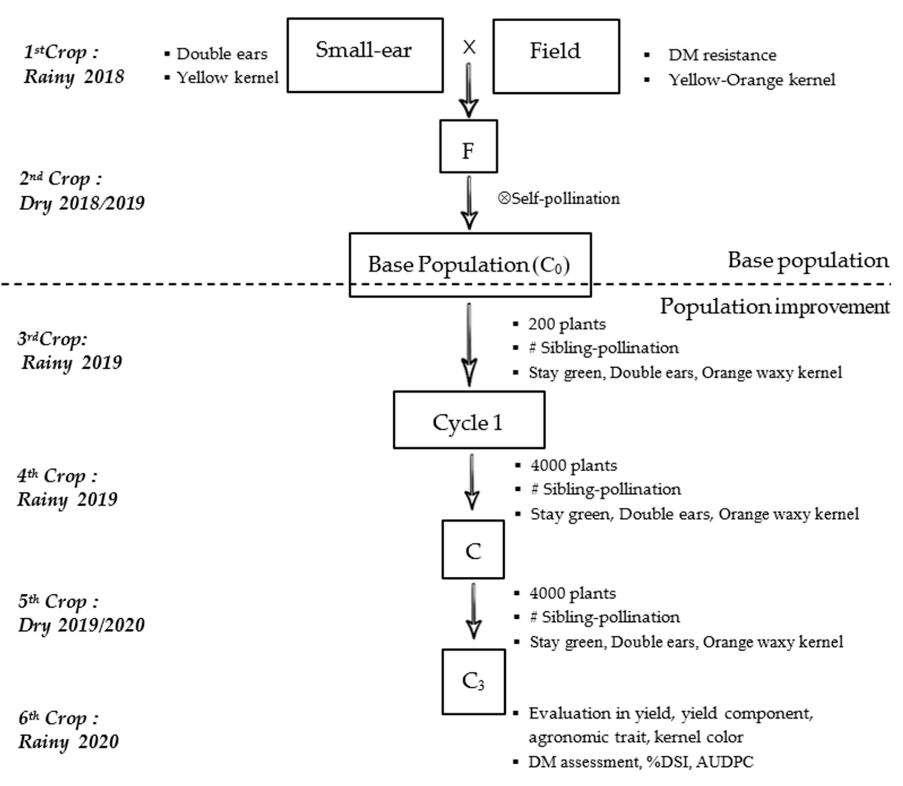 Agronomy 11 01793 g001