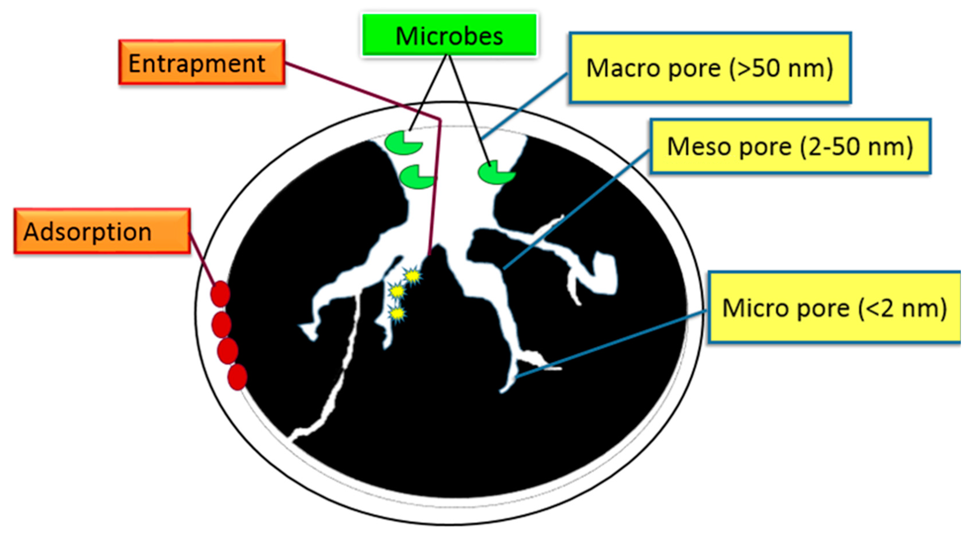 Agronomy Free Full Text Soil Nitrogen Sorption Using Charcoal And Wood Ash Html Agronomy Free Full Text Soil Nitrogen Sorption Using Charcoal And Wood Ash Html
