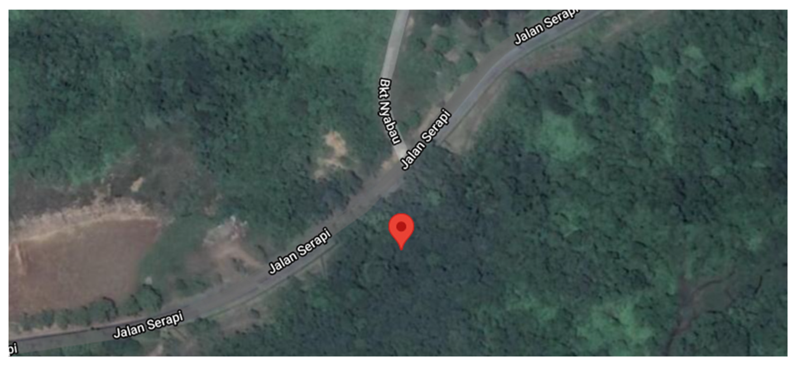 Agronomy 11 01803 g001