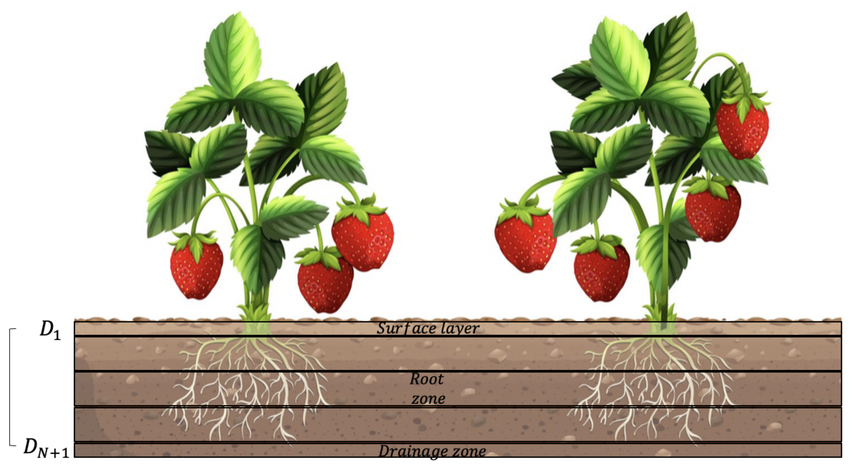 Agronomy 11 01810 g003