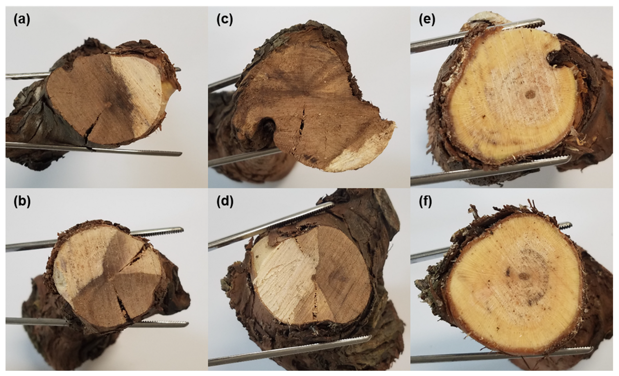 Agronomy 11 01811 g004 Agronomy 11 01811 g004