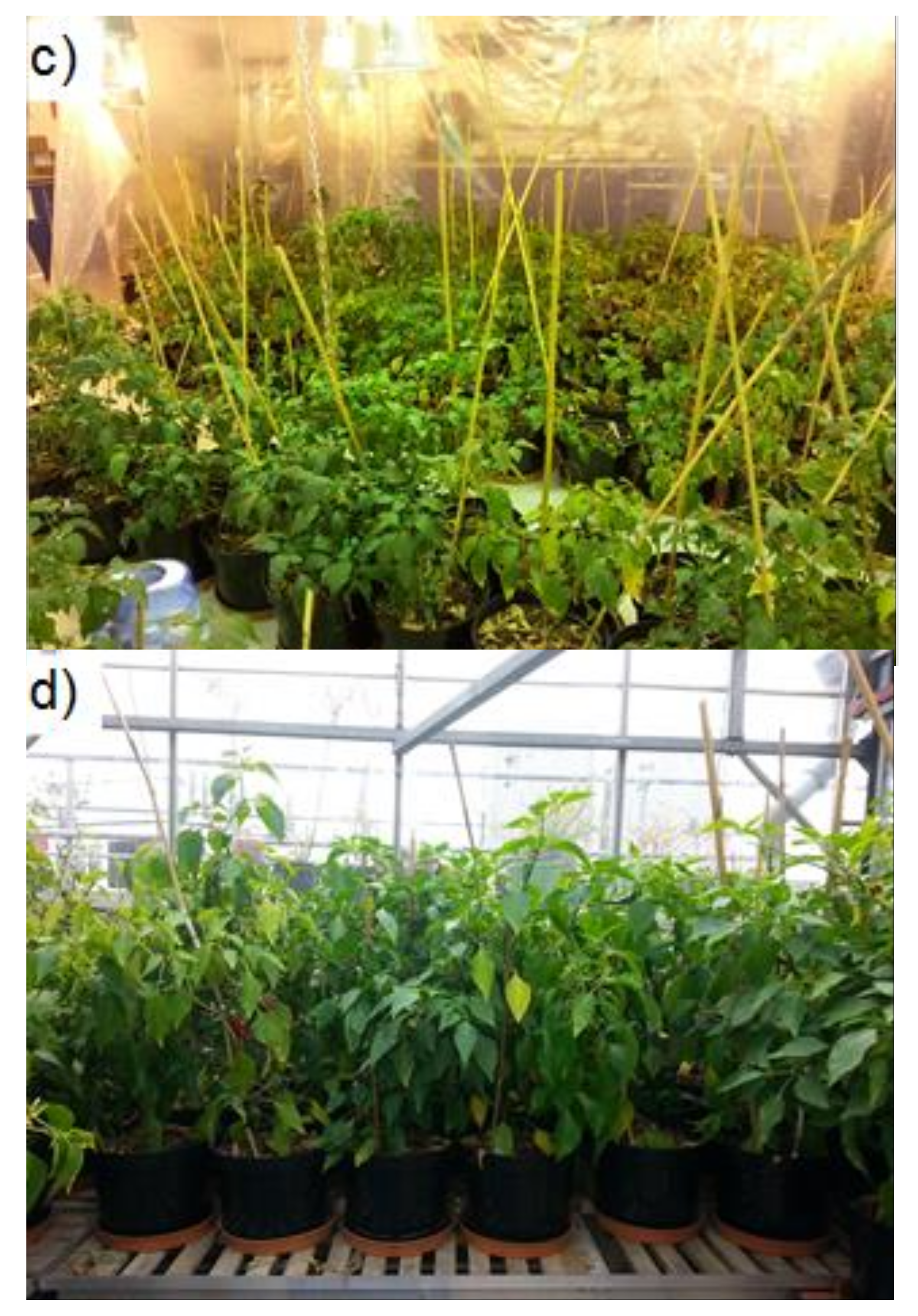 Agronomy 11 01817 g001b