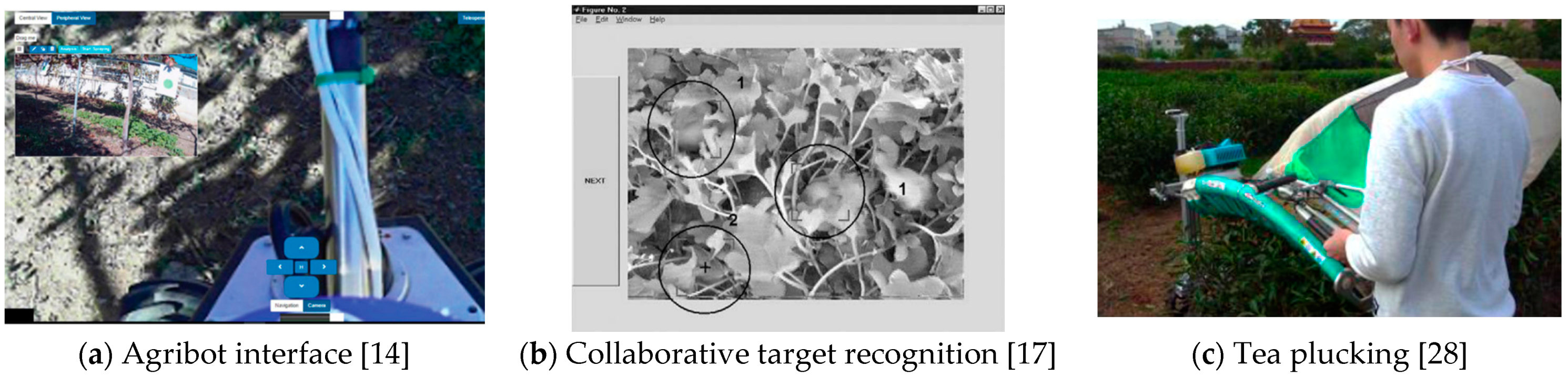 Agronomy 11 01818 g001