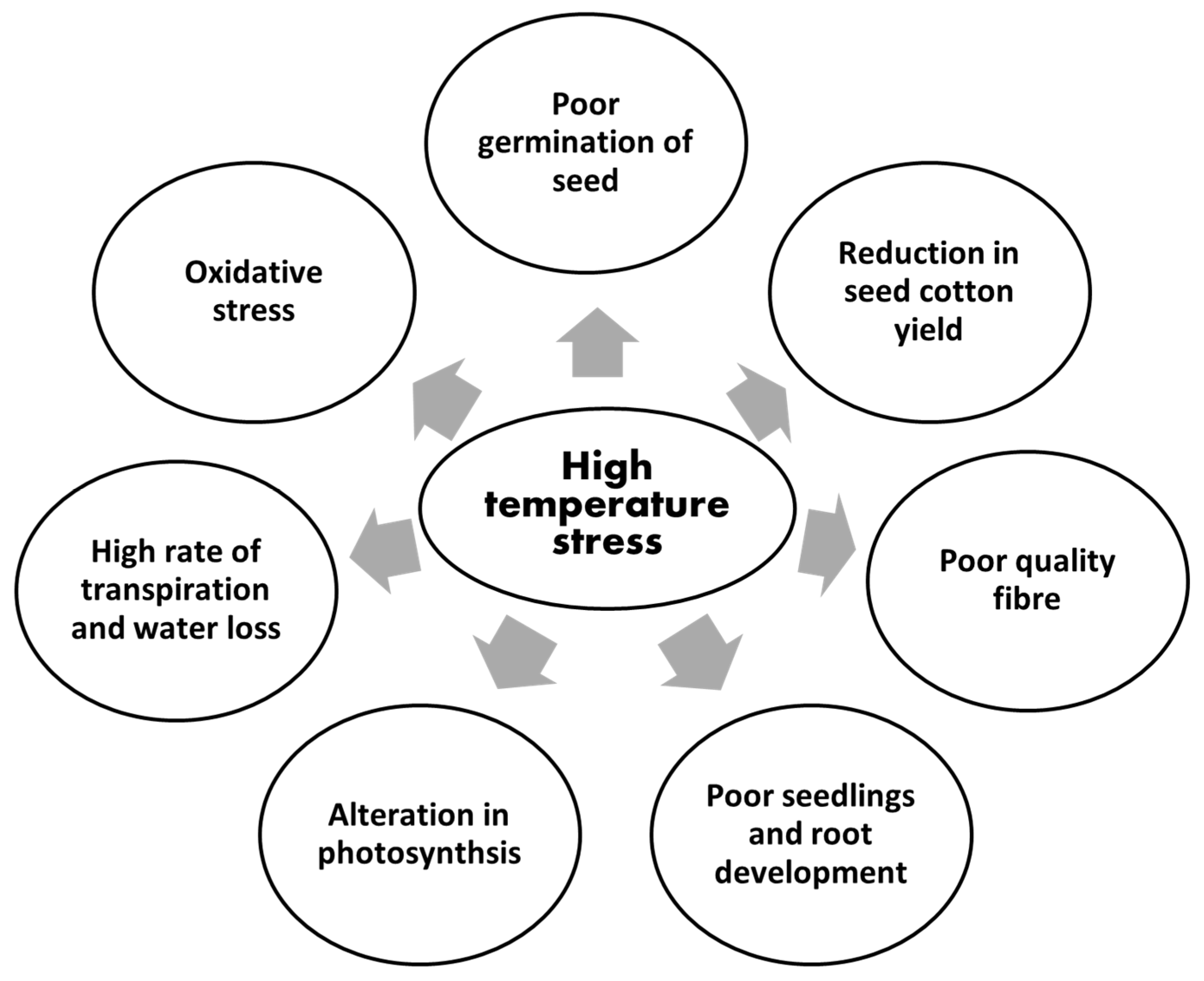 Agronomy 11 01825 g001 Agronomy 11 01825 g001