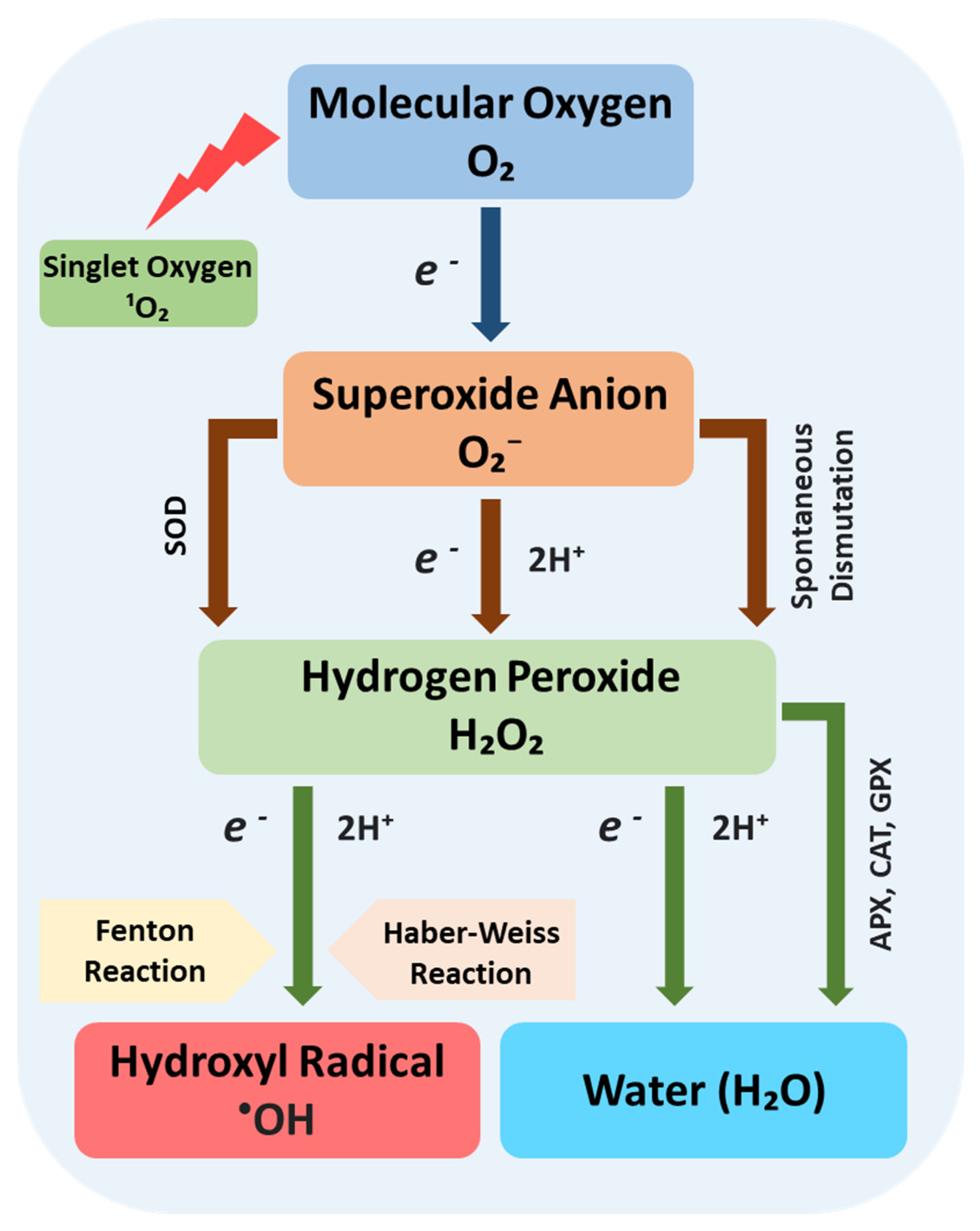 Agronomy 11 01825 g003 Agronomy 11 01825 g003