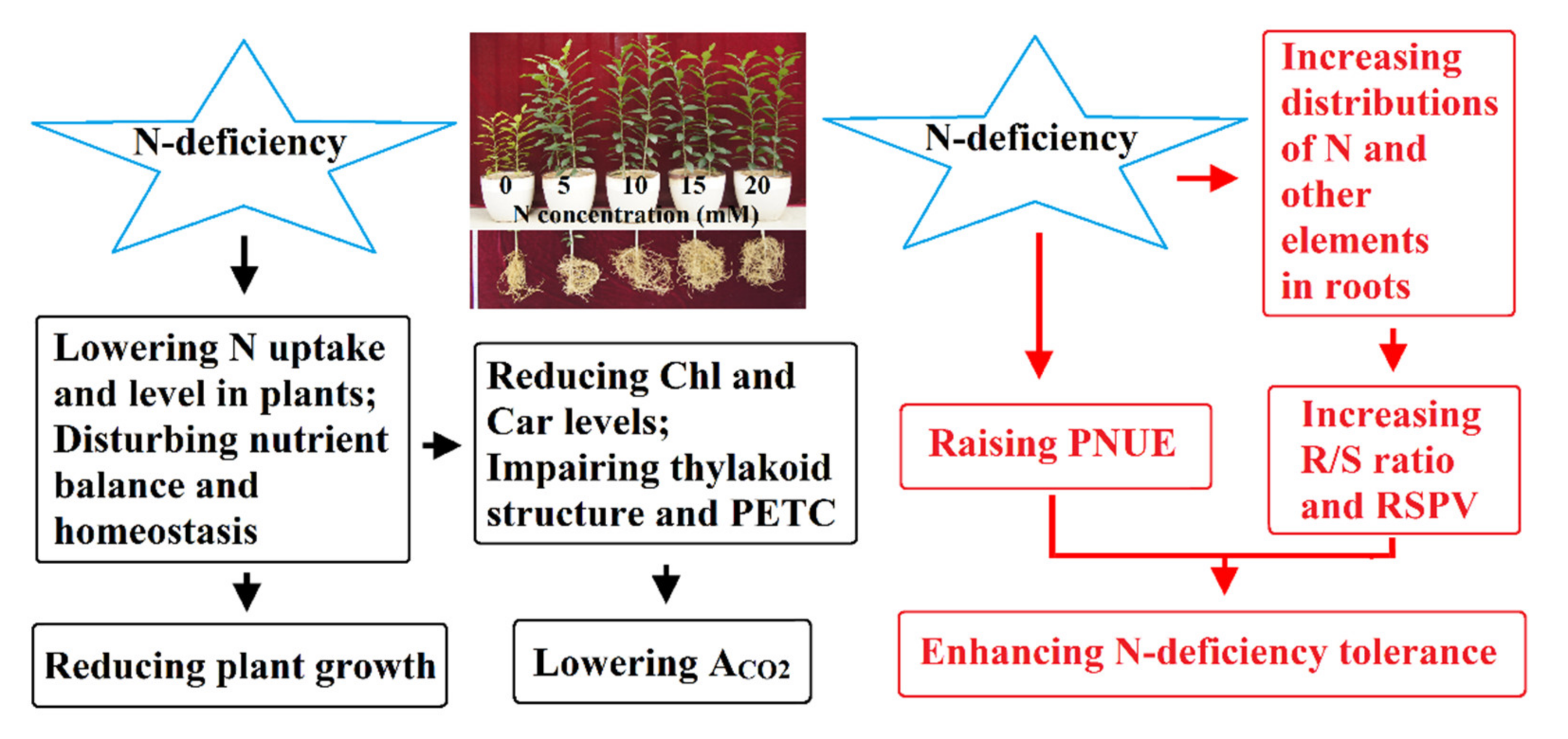 Agronomy 11 01859 g011