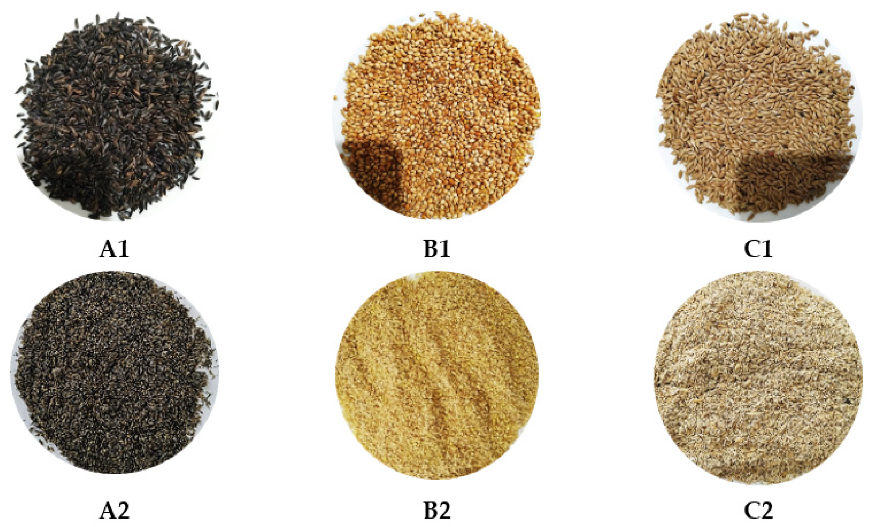 Agronomy 11 01873 g001