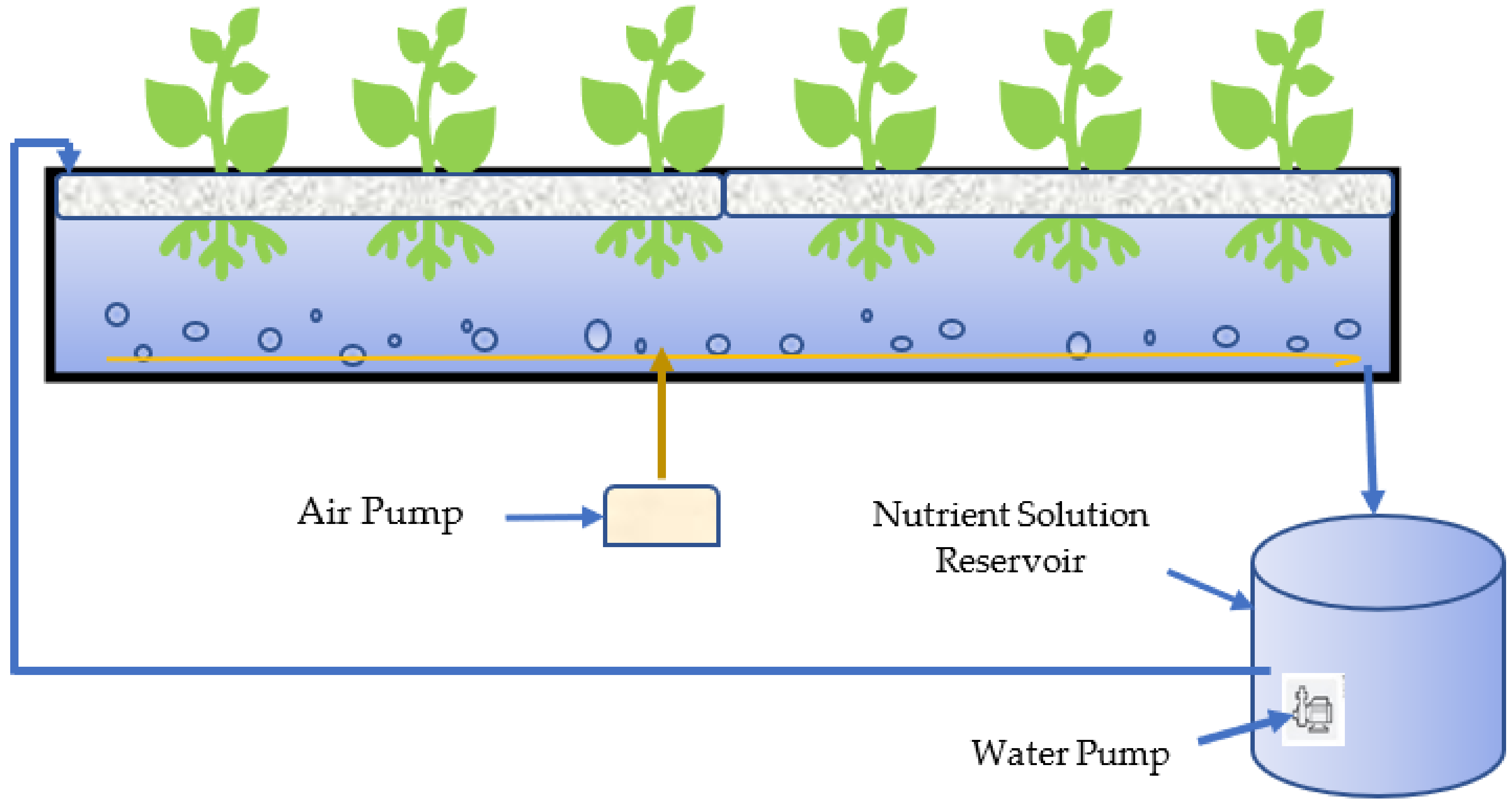 Agronomy 11 01874 g001b 550