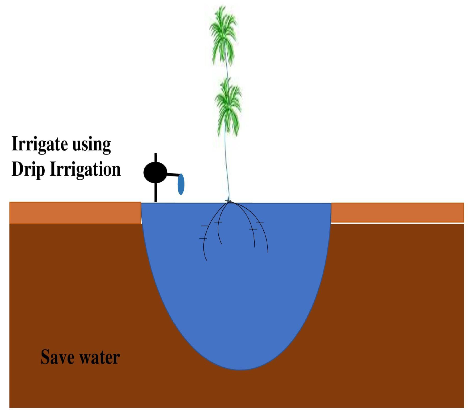 Agronomy 11 01881 g002