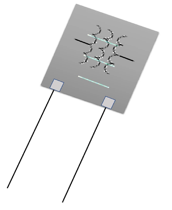 Agronomy 11 01881 g003