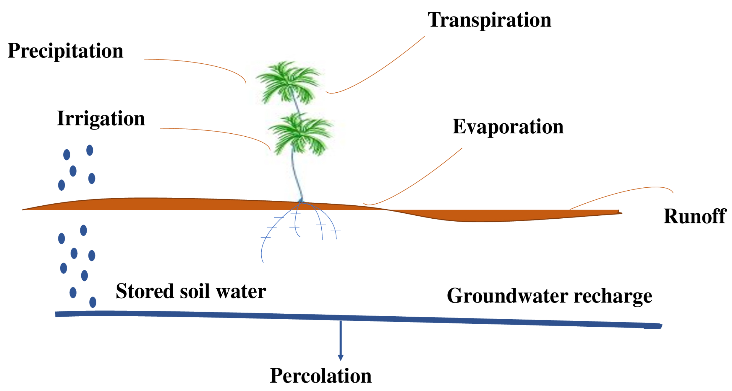 Agronomy 11 01881 g005