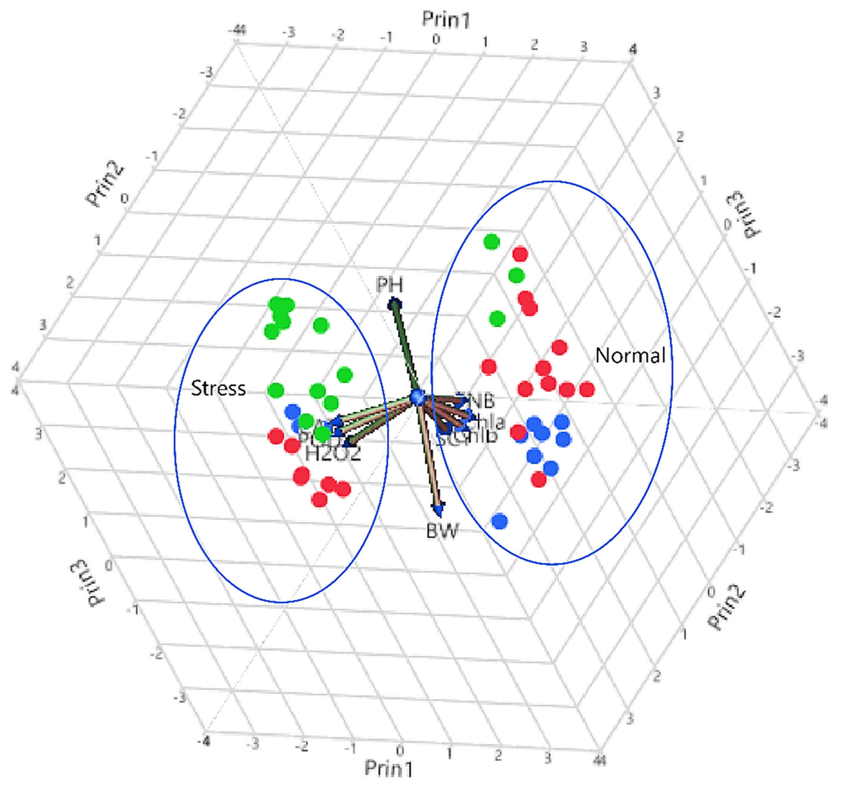 Agronomy 11 01885 g005