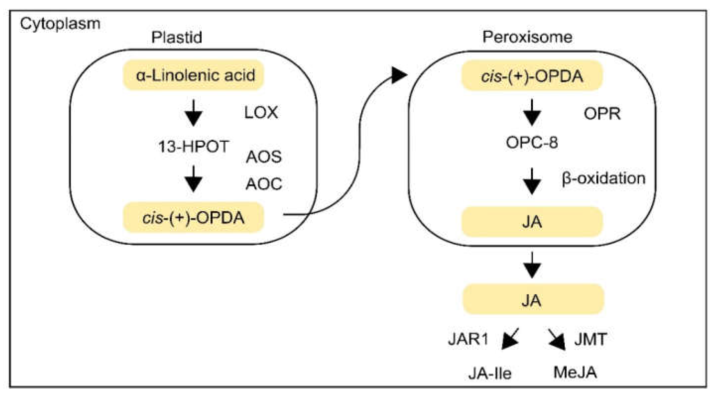 Agronomy 11 01886 g001