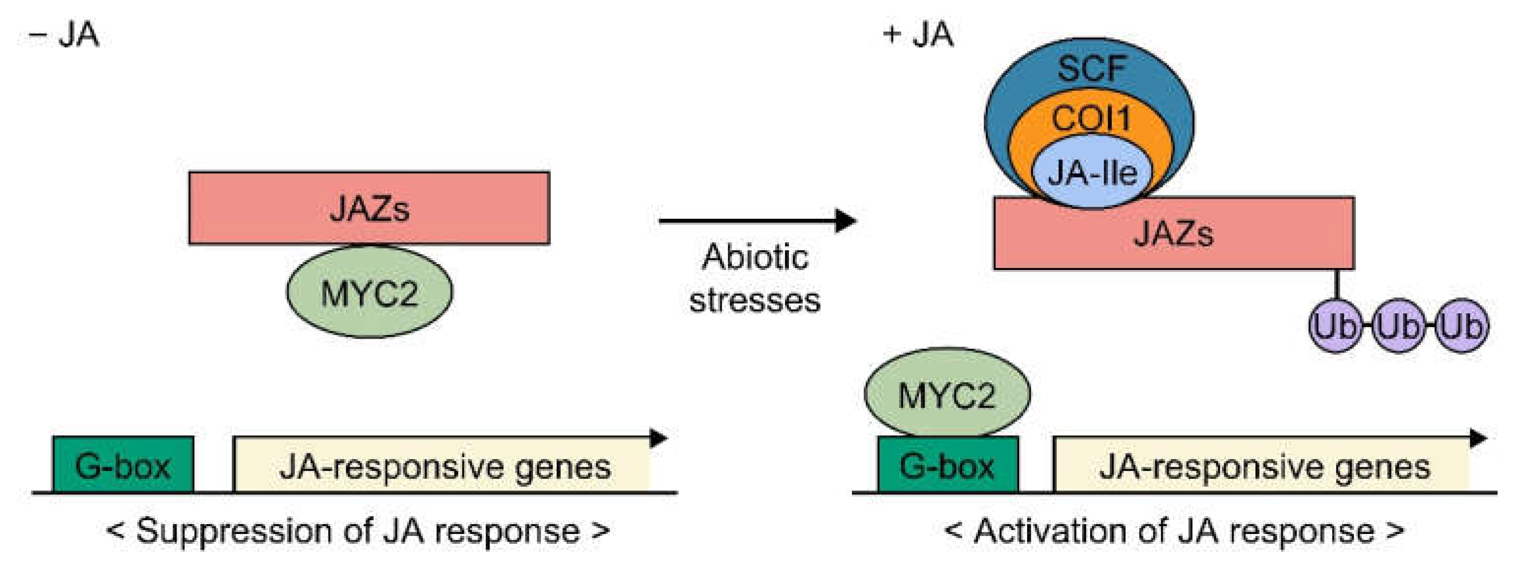 Agronomy 11 01886 g002