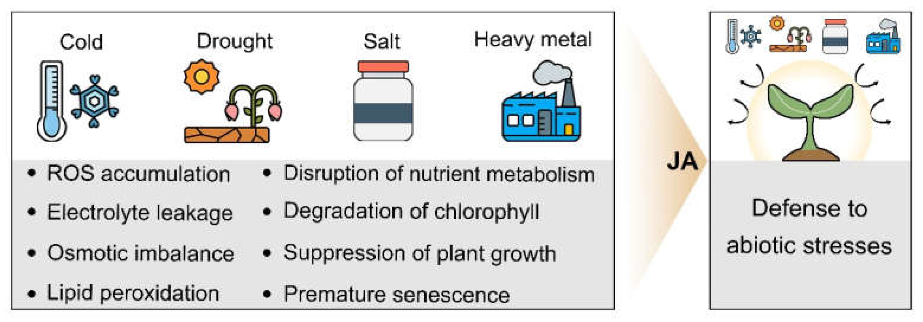 Agronomy 11 01886 g003