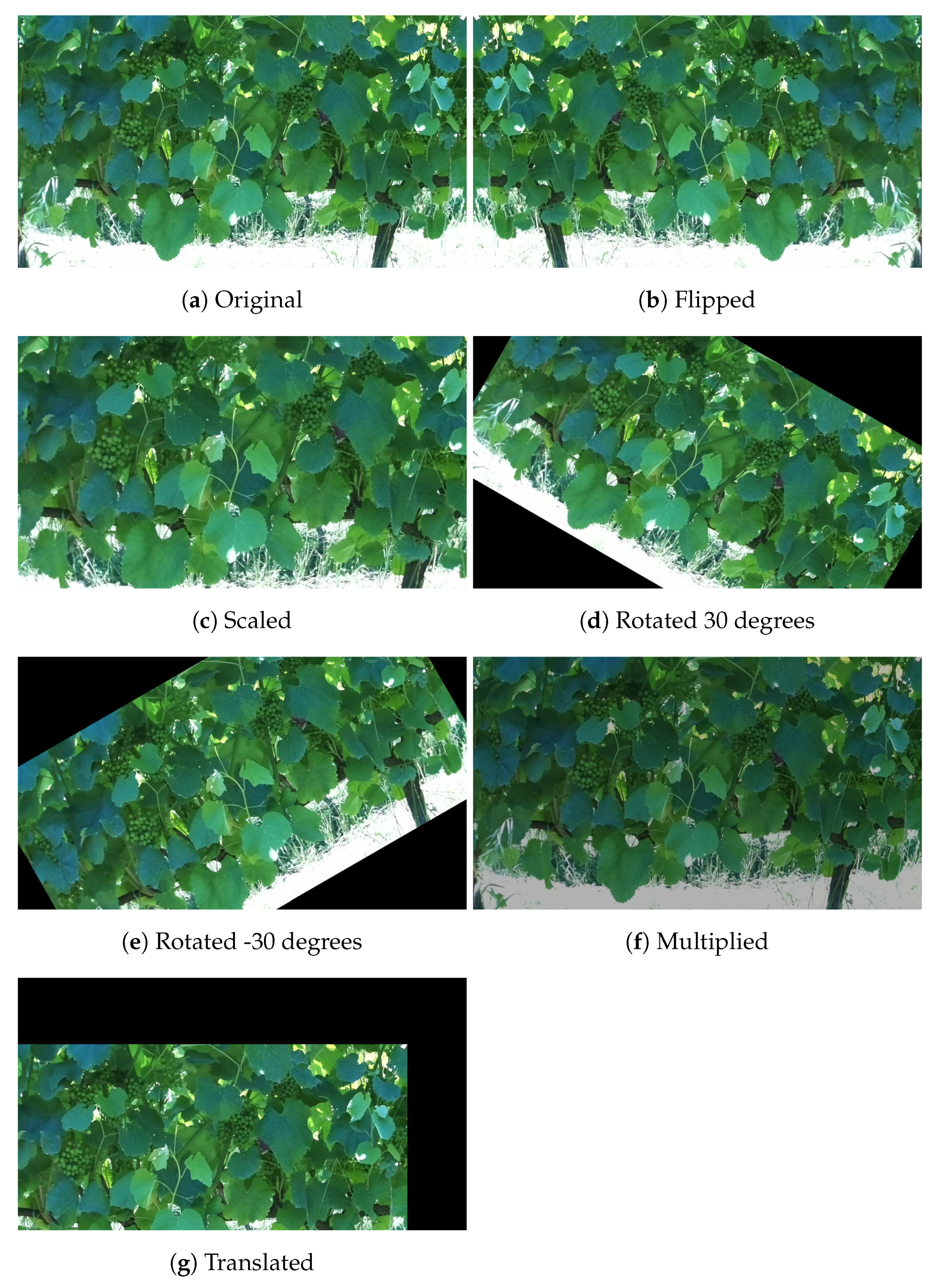Agronomy 11 01890 g004 550