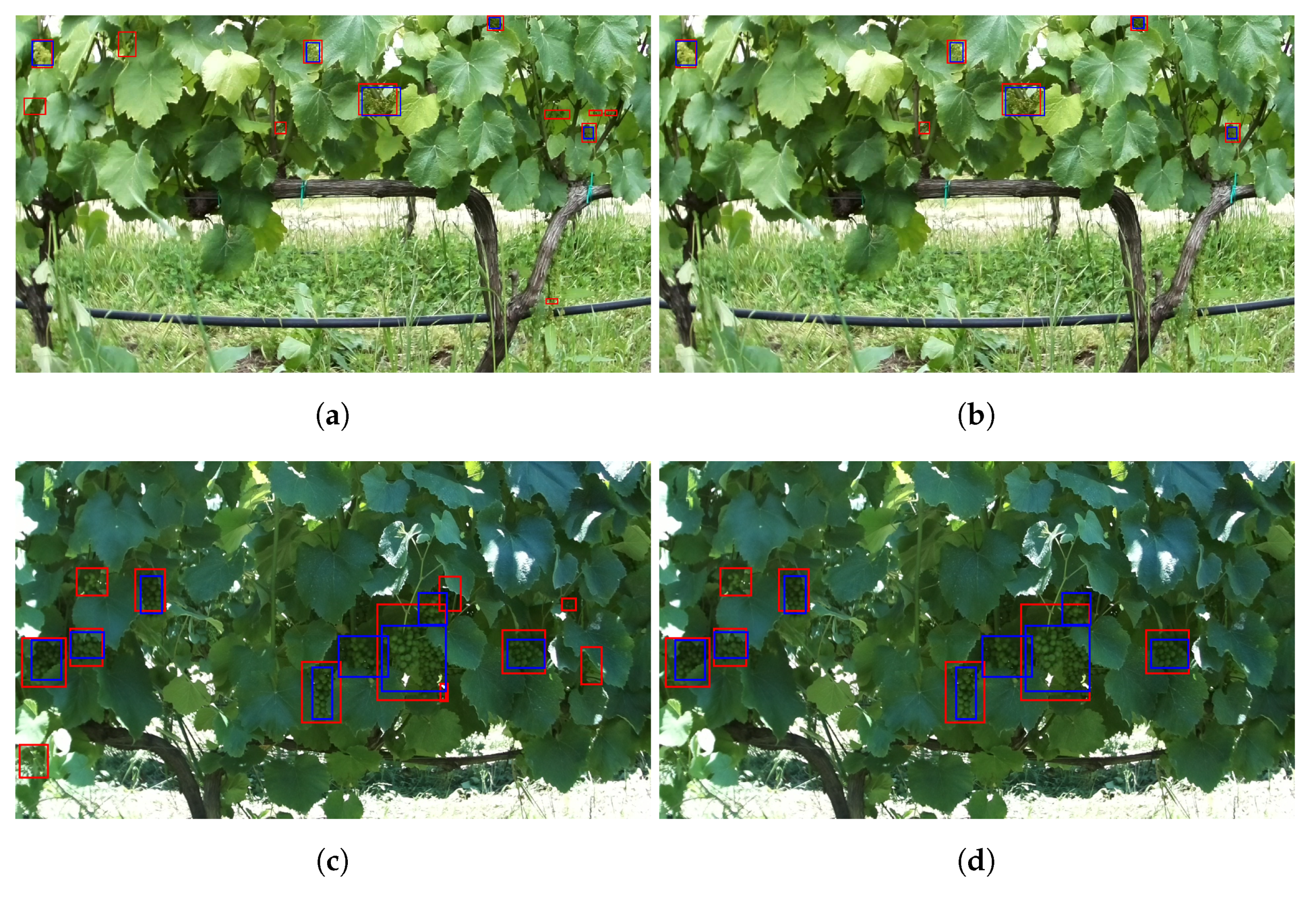 Agronomy 11 01890 g009 550
