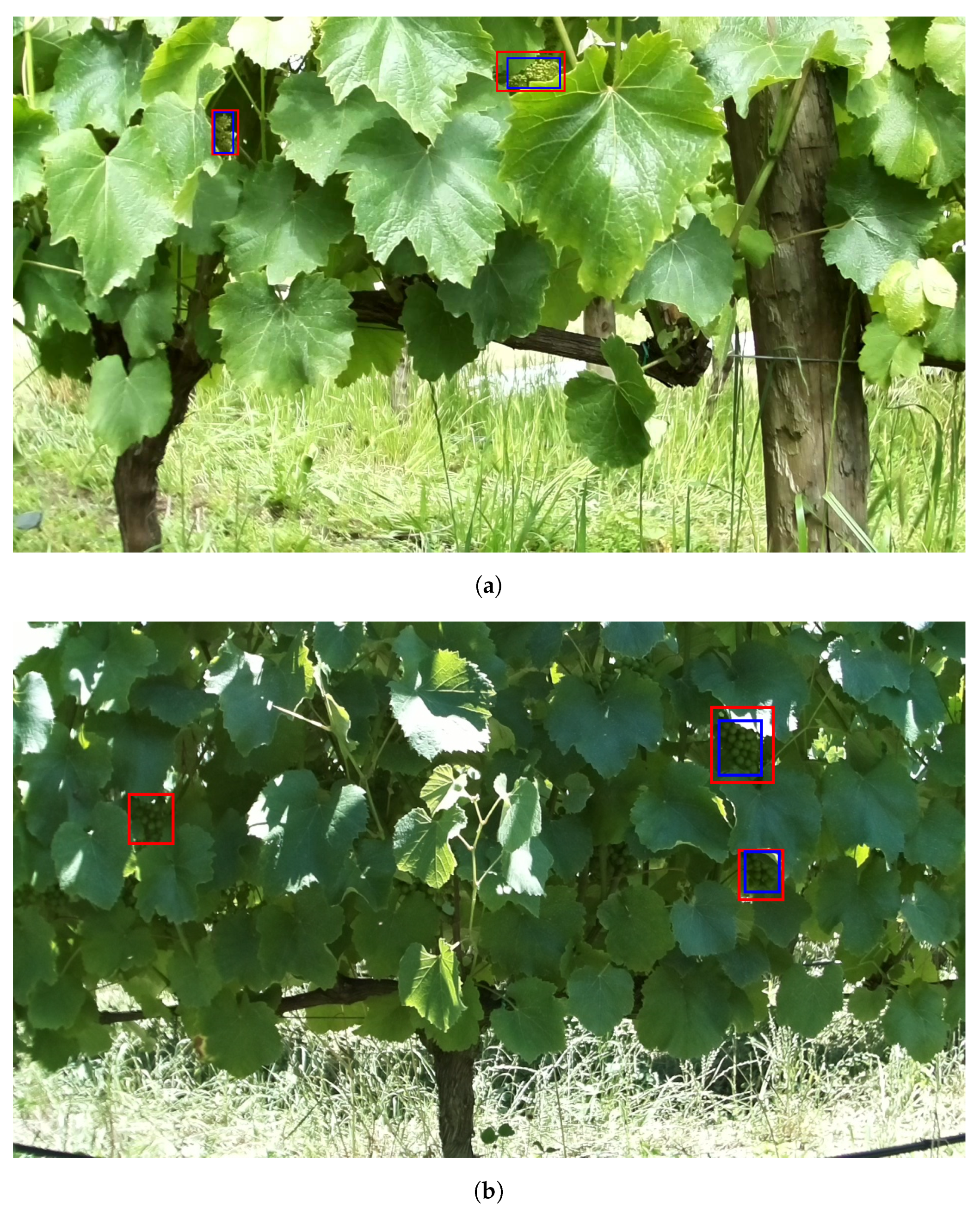 Agronomy 11 01890 g010 550