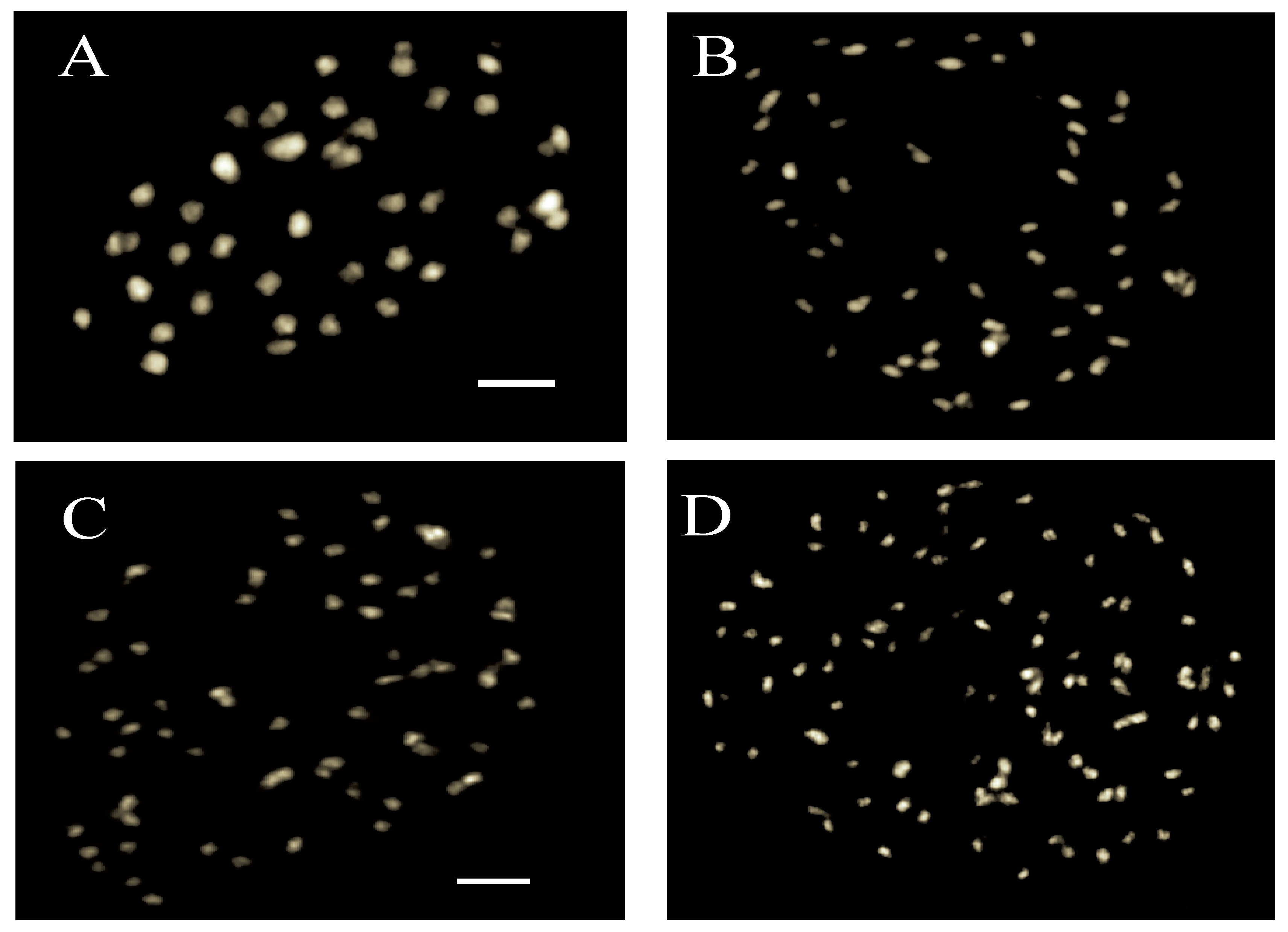 Agronomy 11 01897 g002