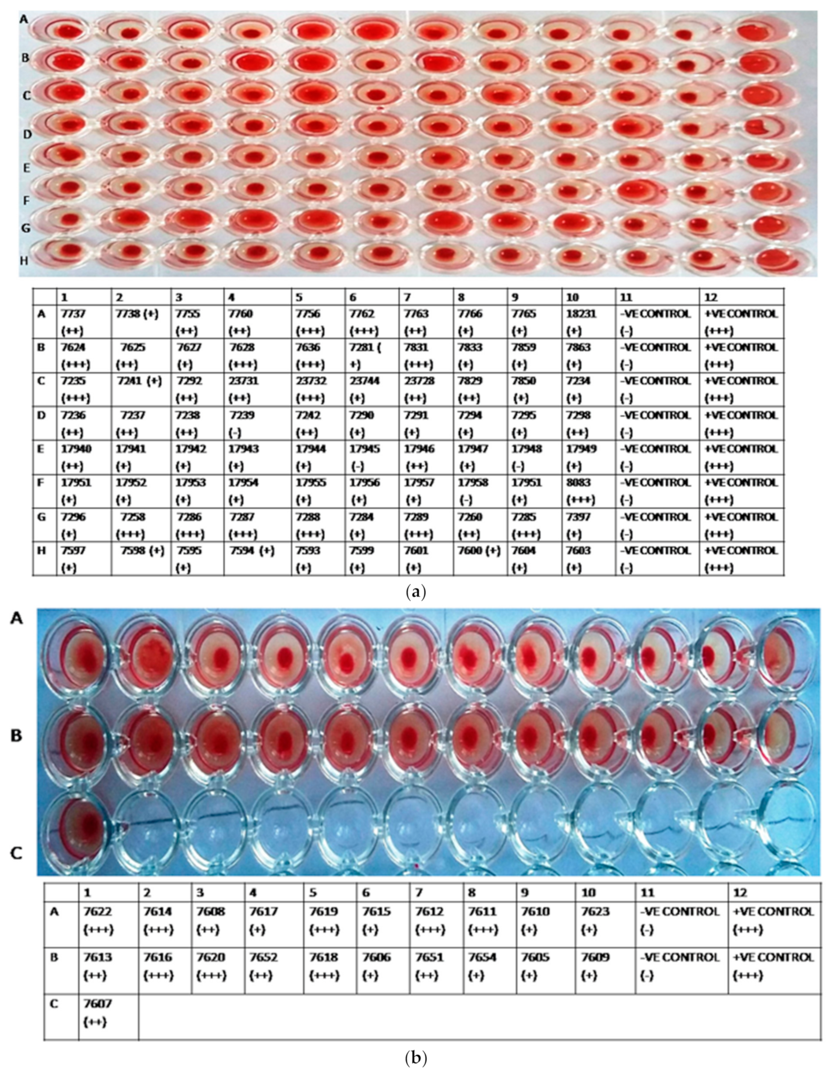 Agronomy 11 01899 g001a