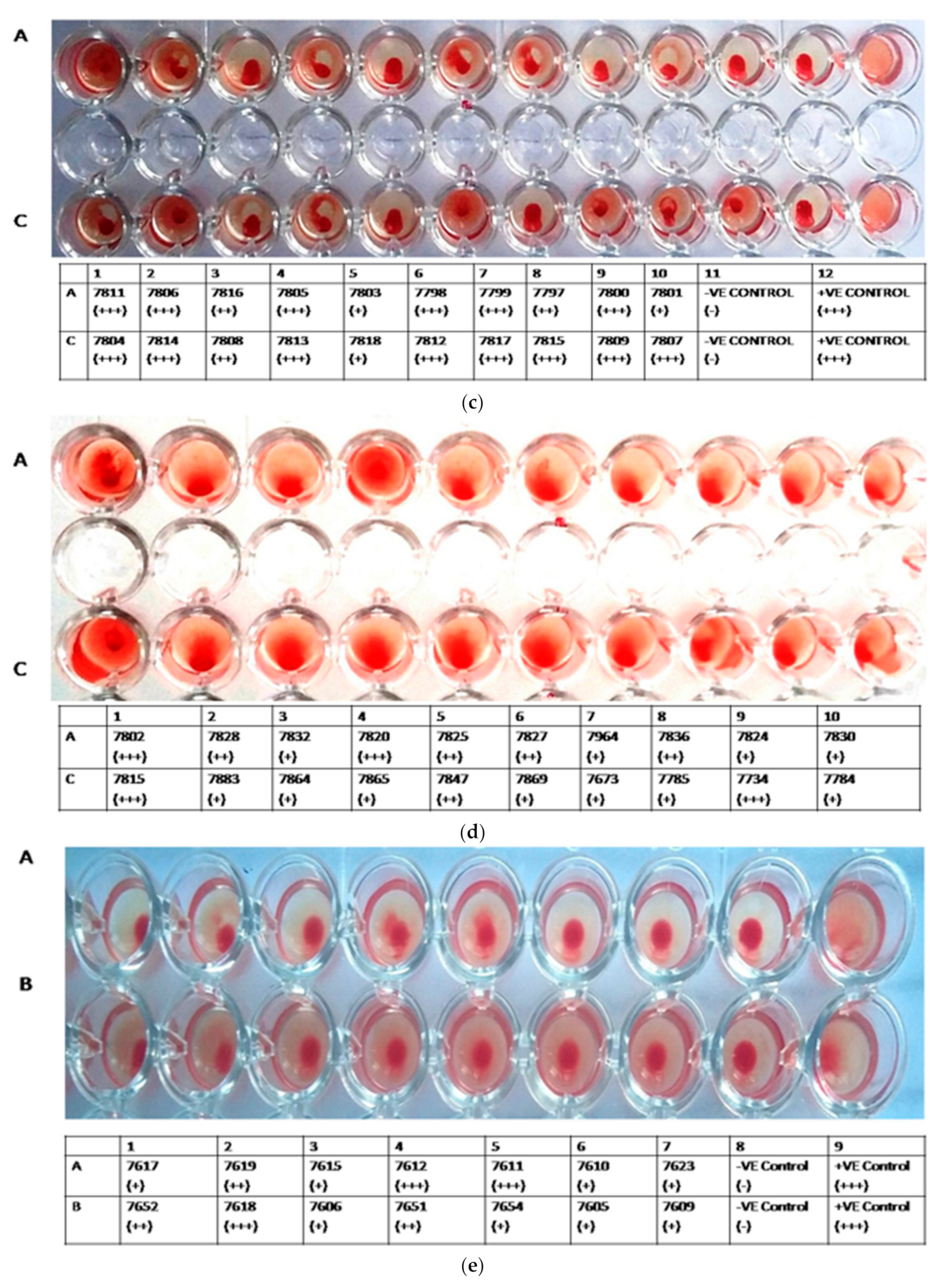 Agronomy 11 01899 g001b