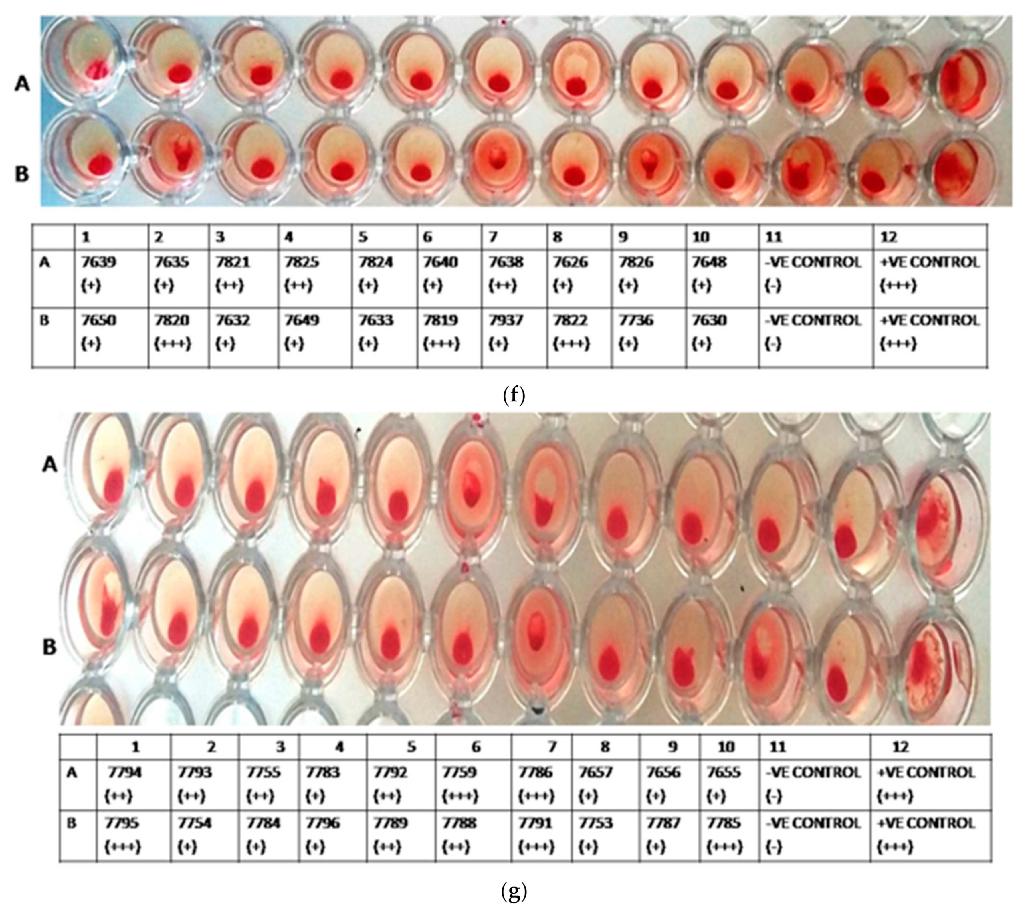 Agronomy 11 01899 g001c