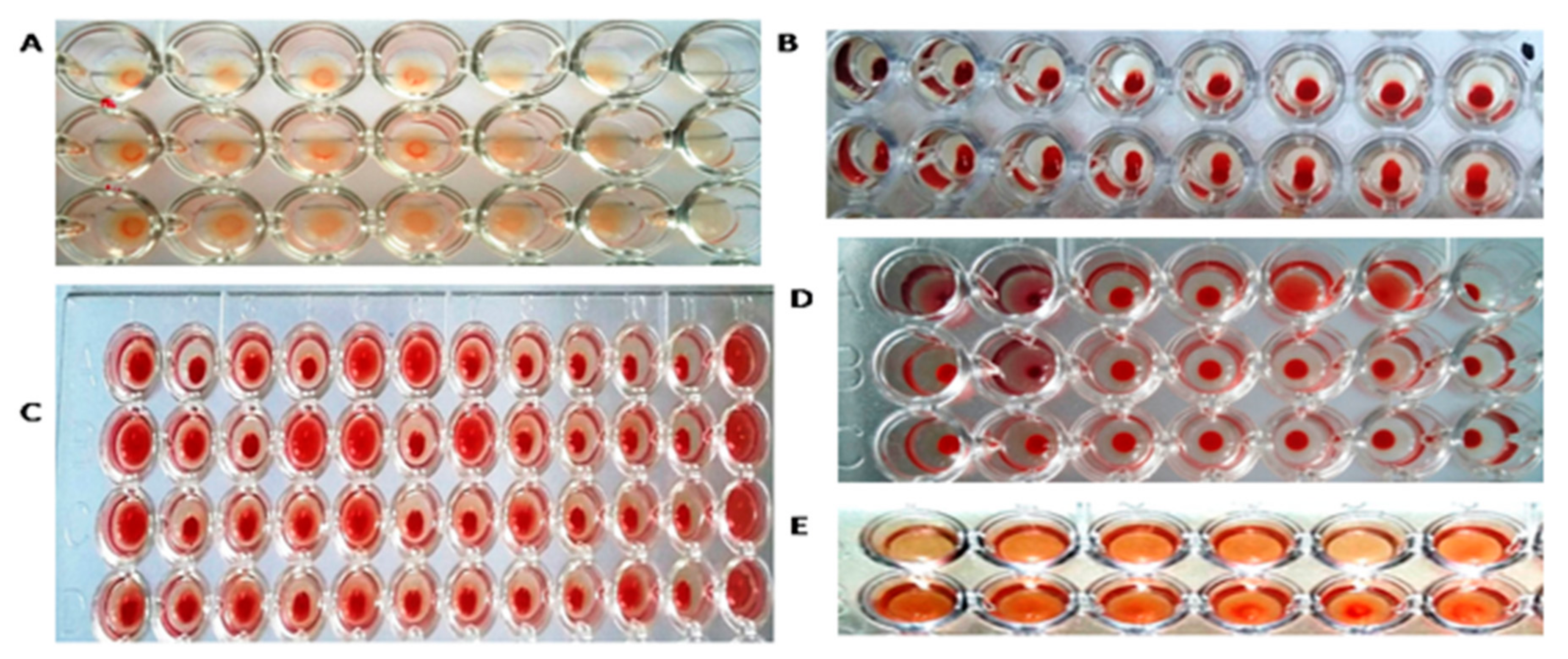 Agronomy 11 01899 g002