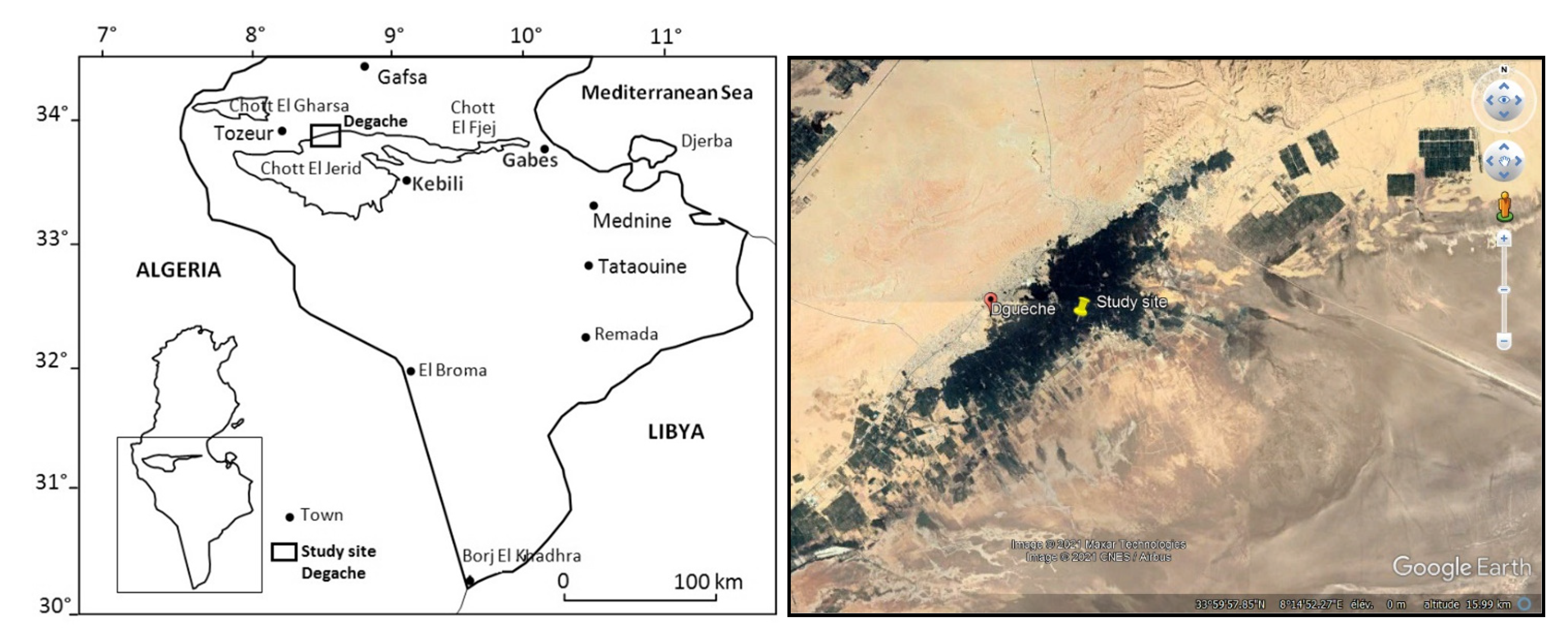 Agronomy 11 01903 g001 550