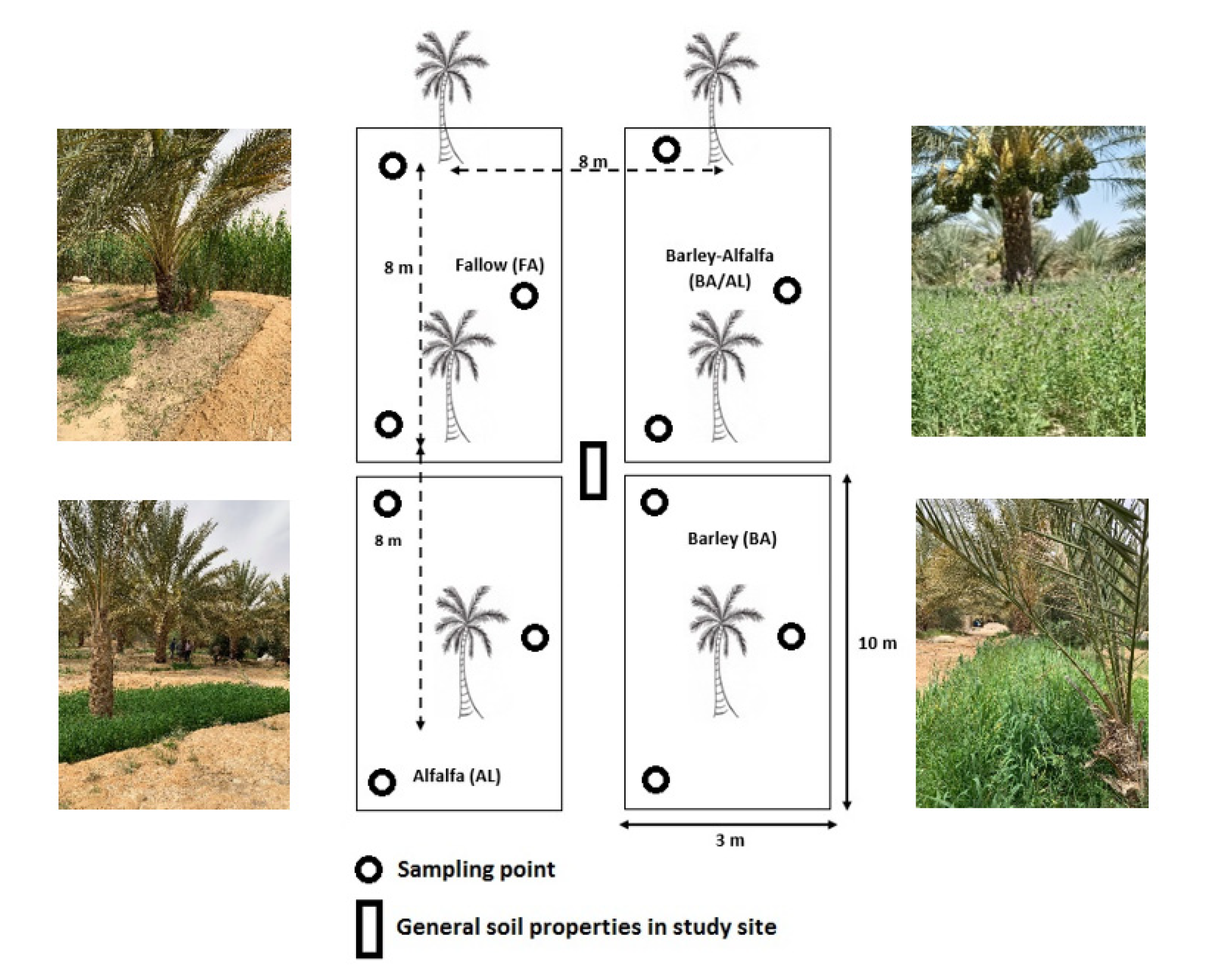 Agronomy 11 01903 g002 550