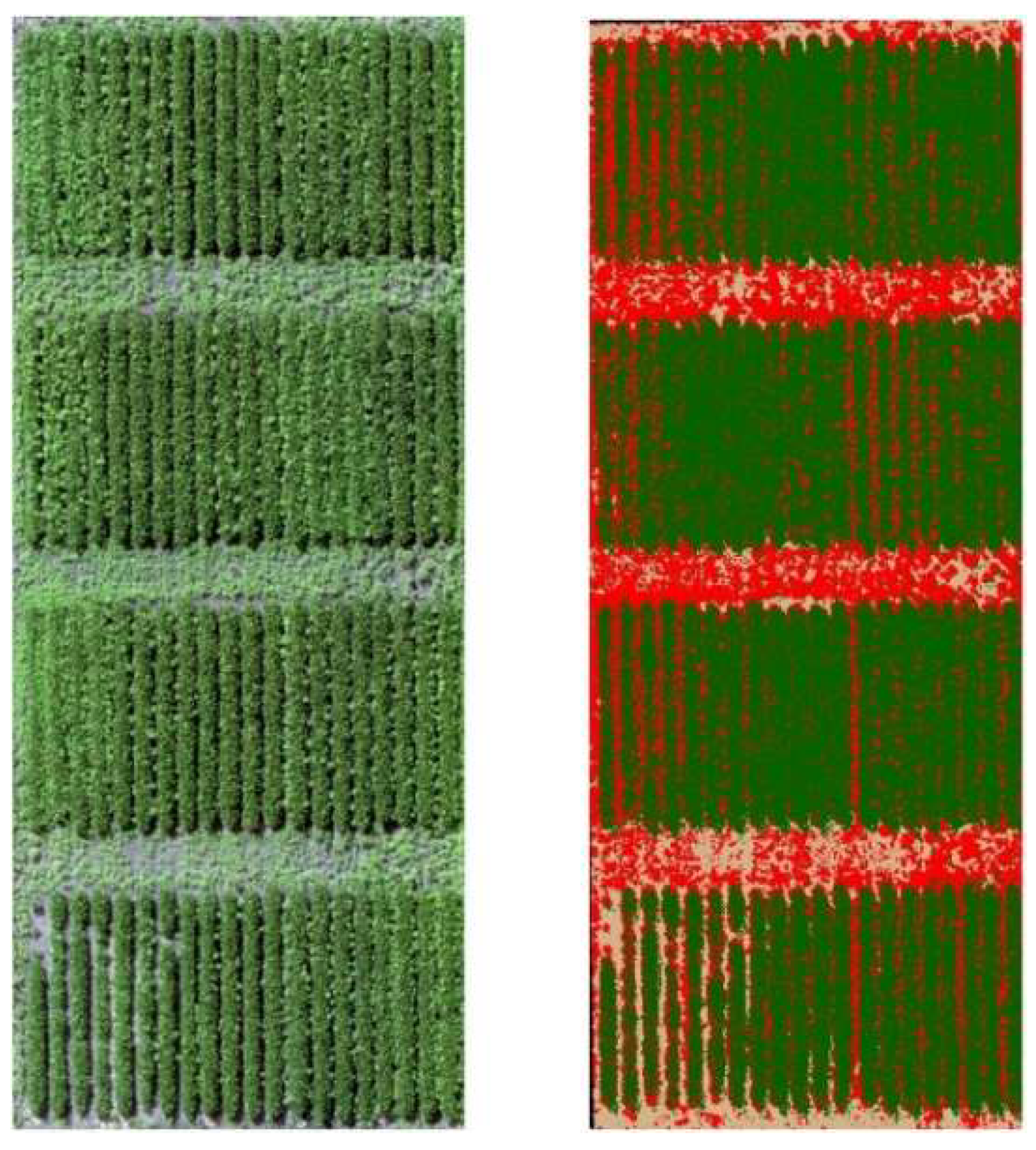 Agronomy 11 01909 g001 550
