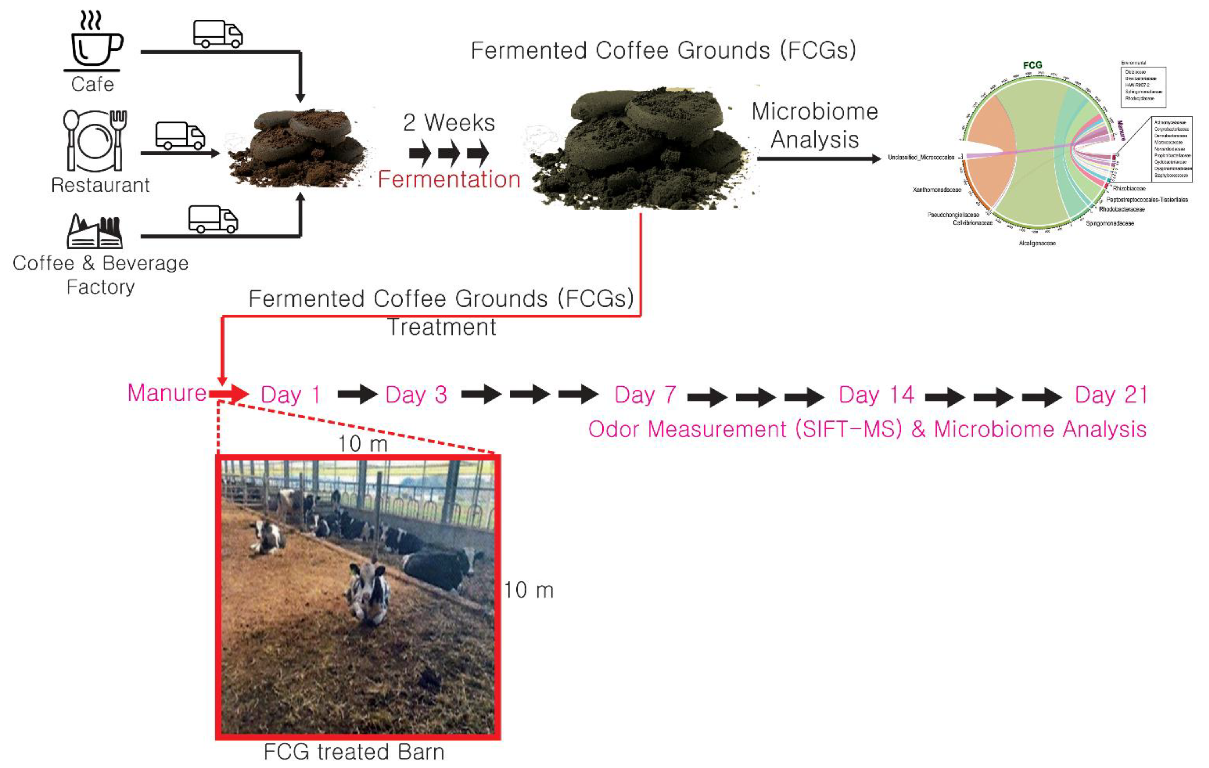 Agronomy 11 01914 g001