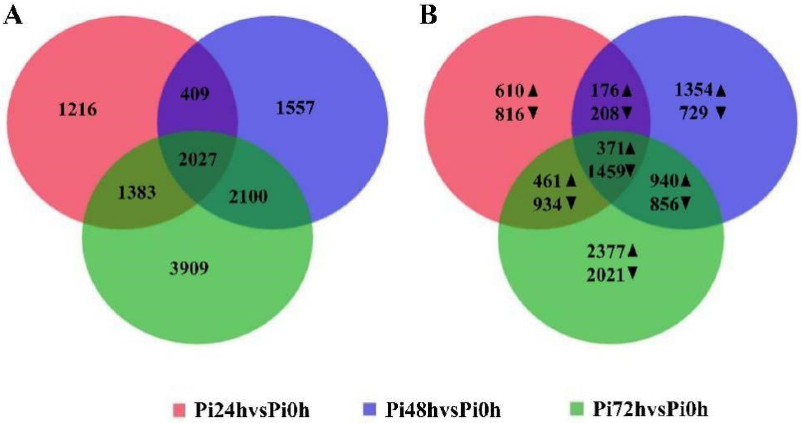 Agronomy 11 01919 g002