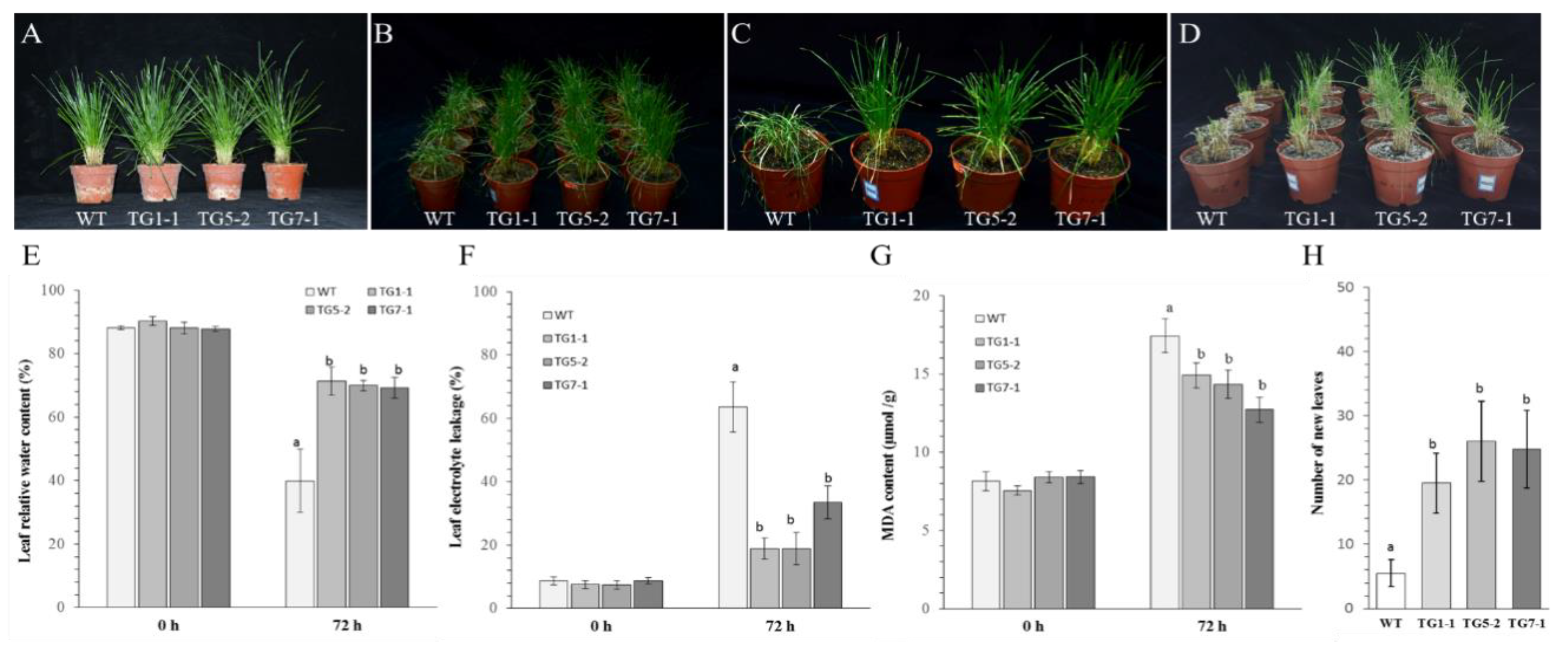 Agronomy 11 01930 g002 550