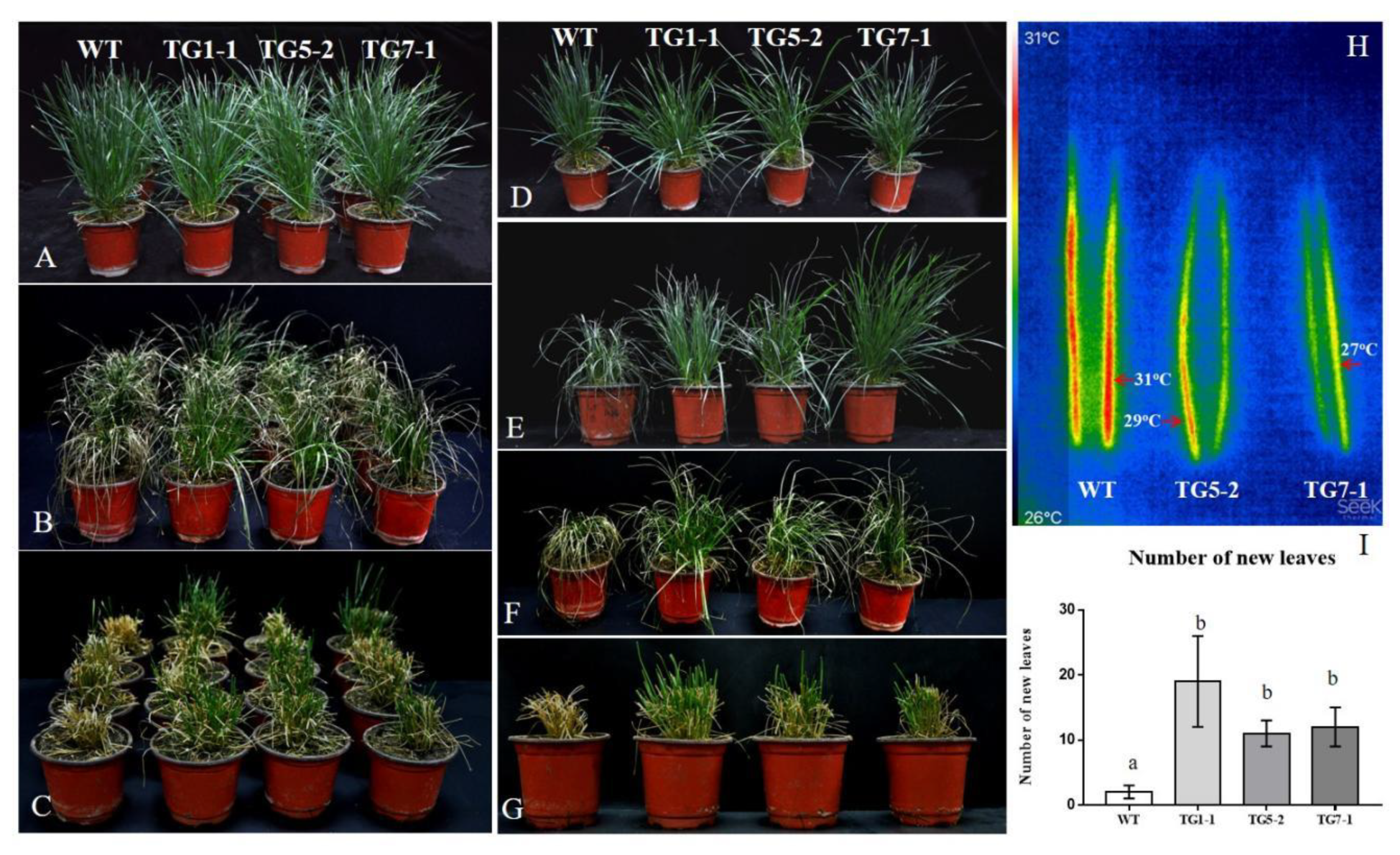 Agronomy 11 01930 g003 550