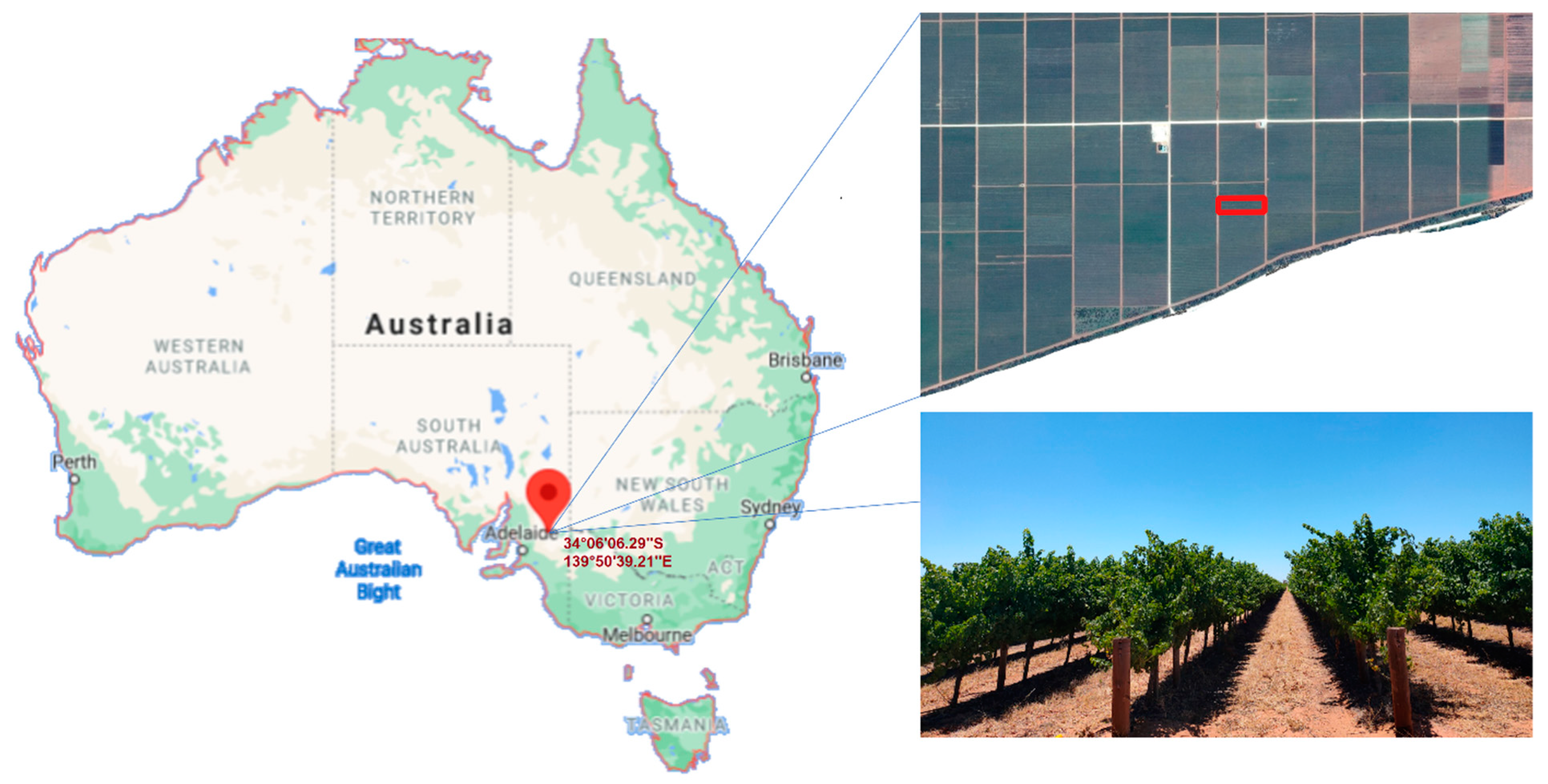 Agronomy 11 01940 g001 Agronomy 11 01940 g001