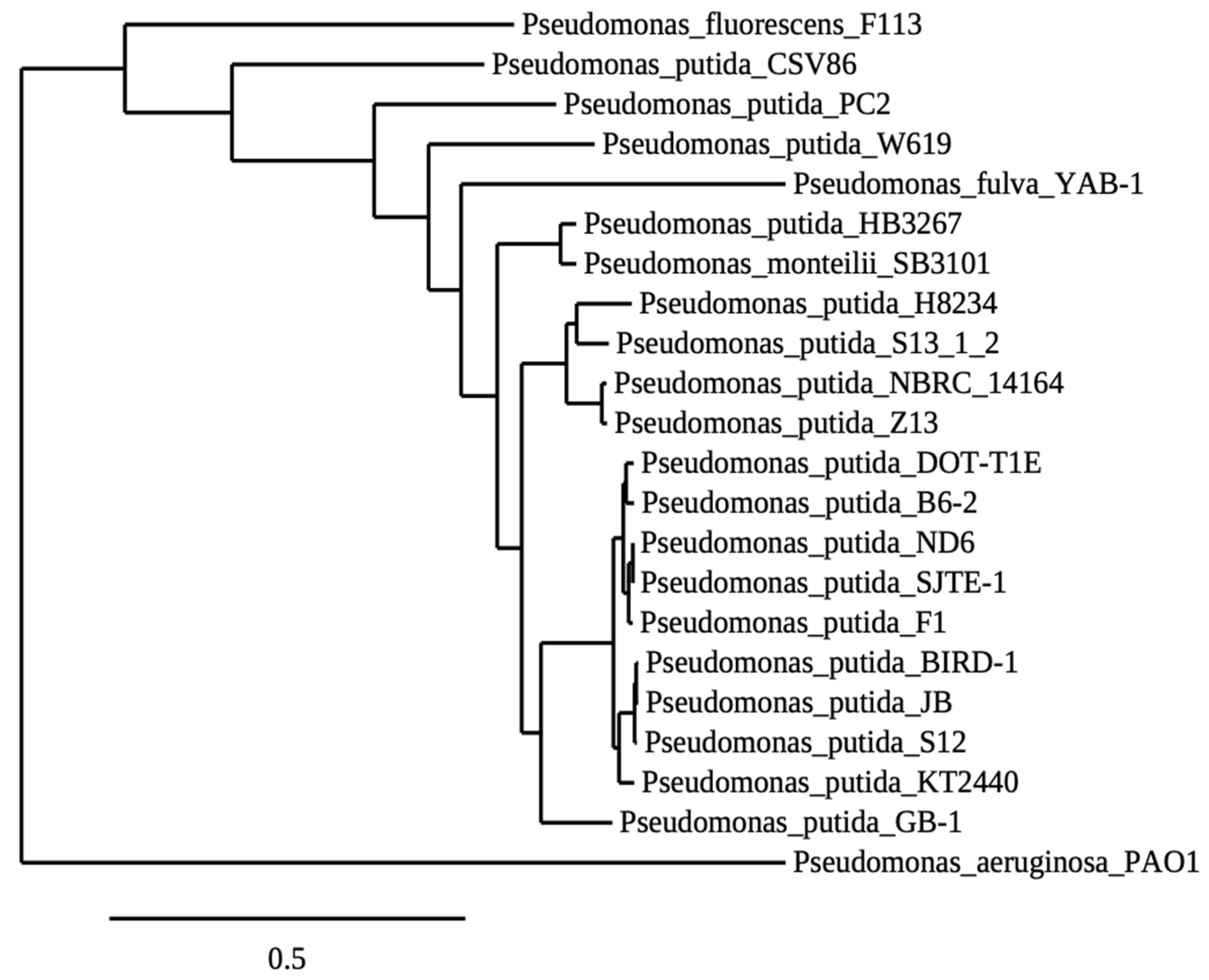Agronomy 11 01946 g007