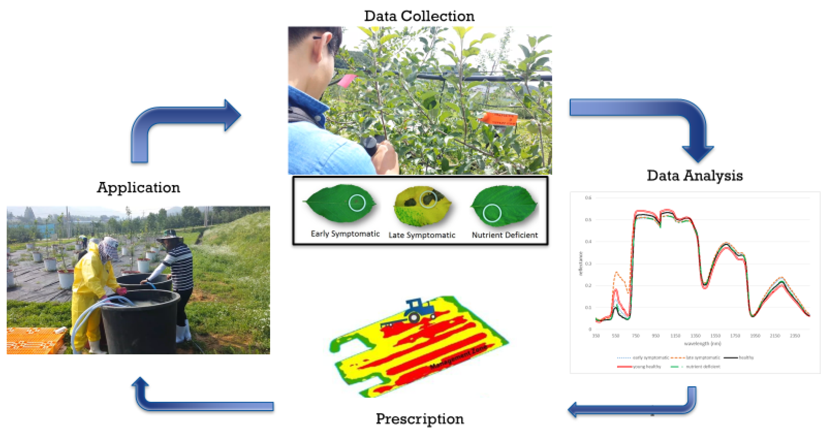 Agronomy 11 01951 g001 550
