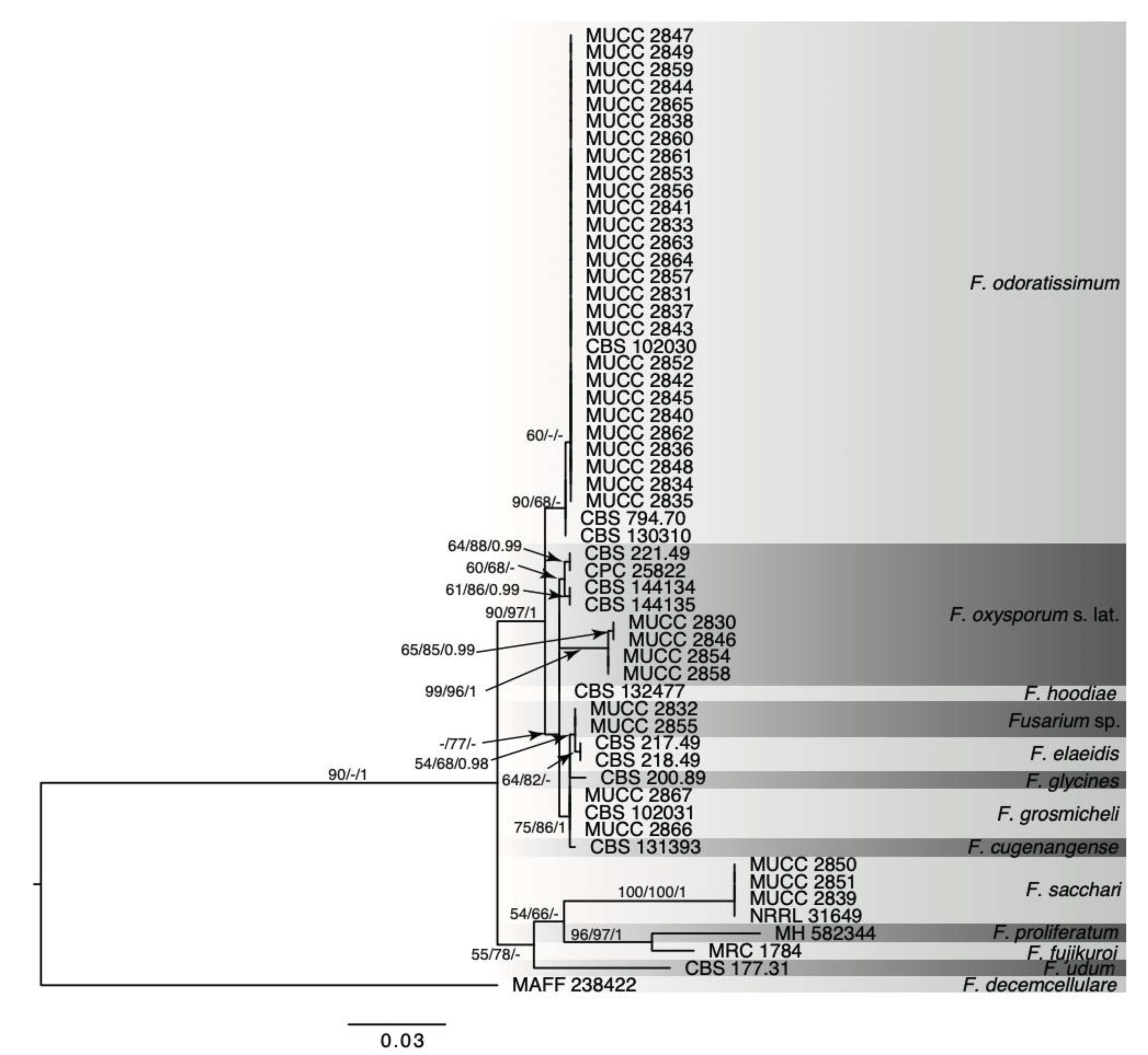 Agronomy 11 01955 g004