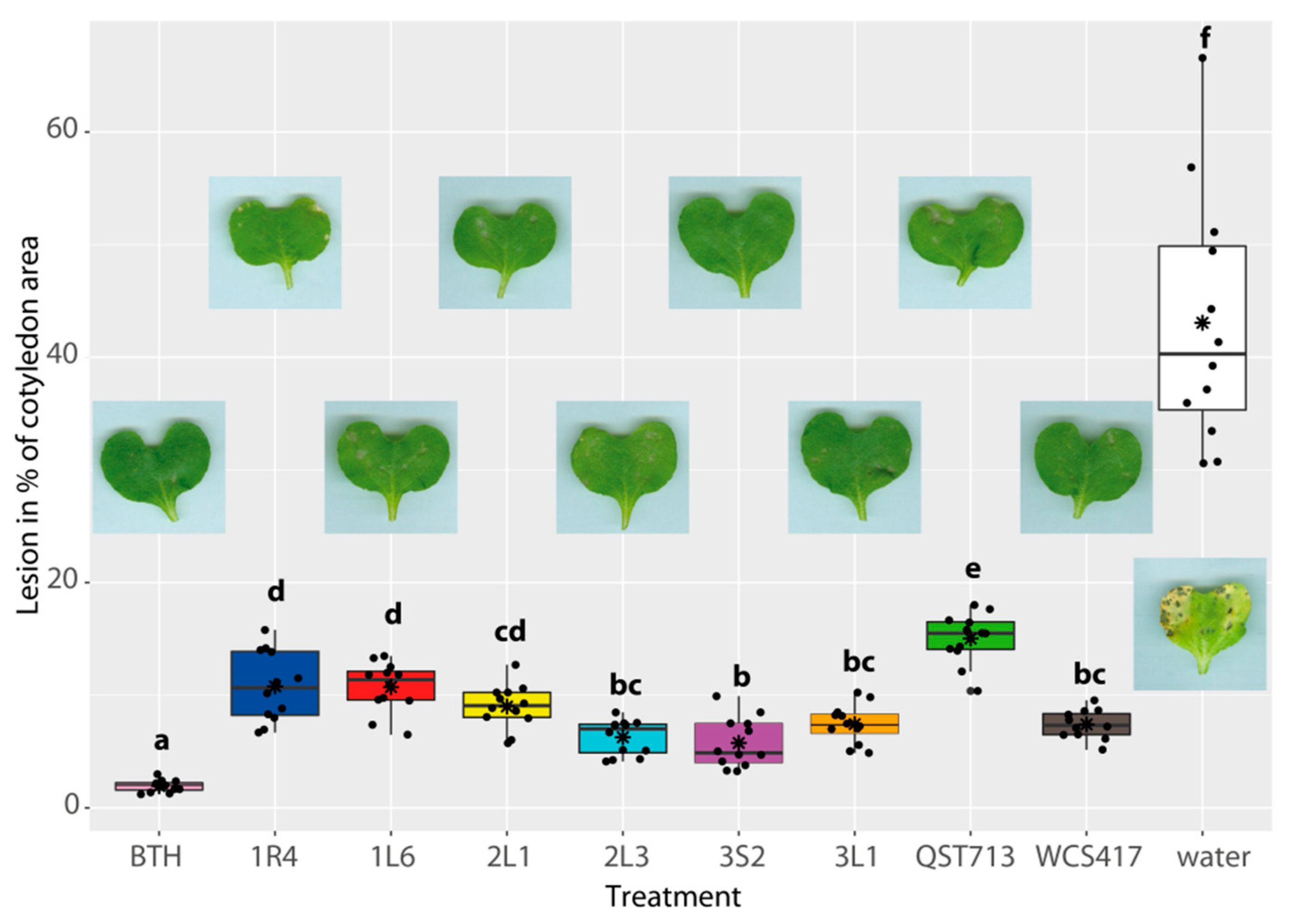 Agronomy 11 01966 g004 Agronomy 11 01966 g004