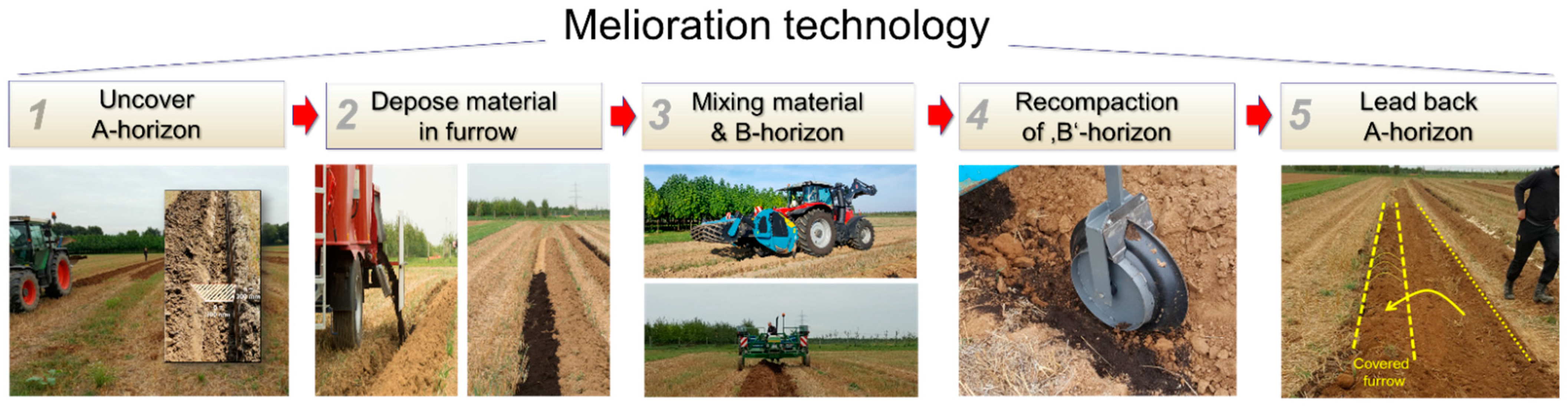 Agronomy 11 01970 g002 550
