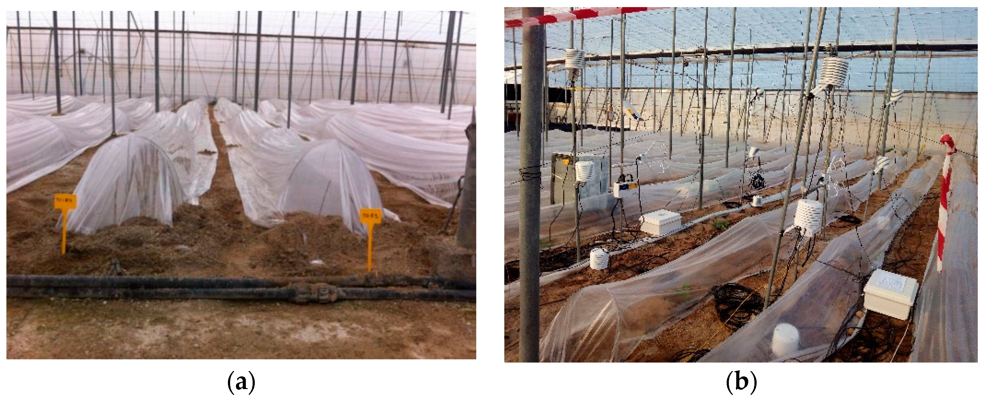 Agronomy 11 01973 g001