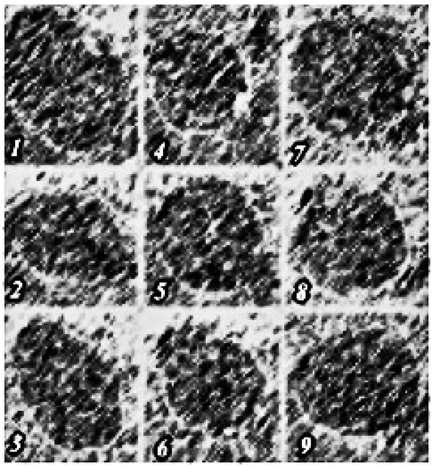 Agronomy 11 01980 g006