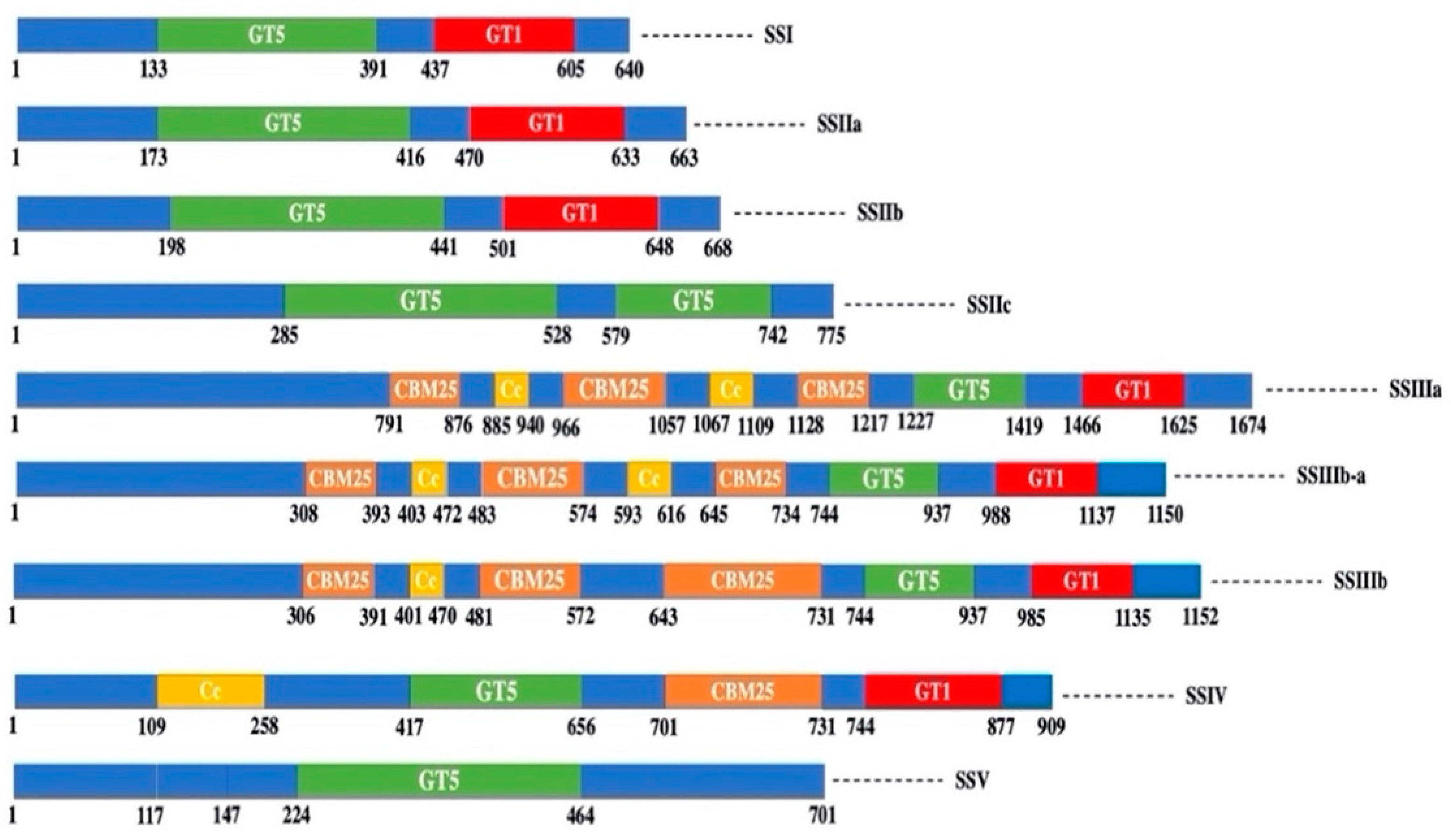 Agronomy 11 01983 g003 Agronomy 11 01983 g003